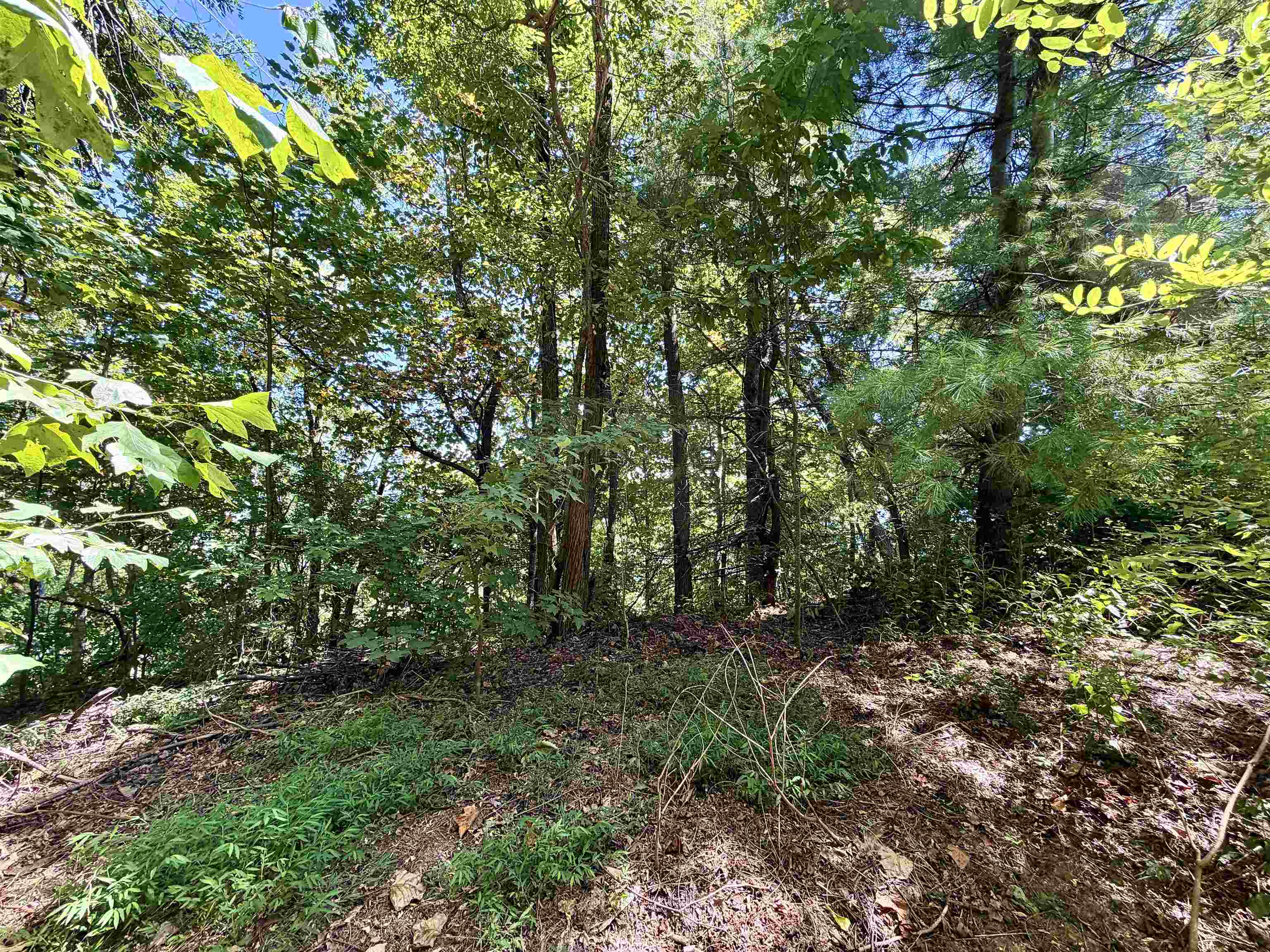 341714 Property Photo 4