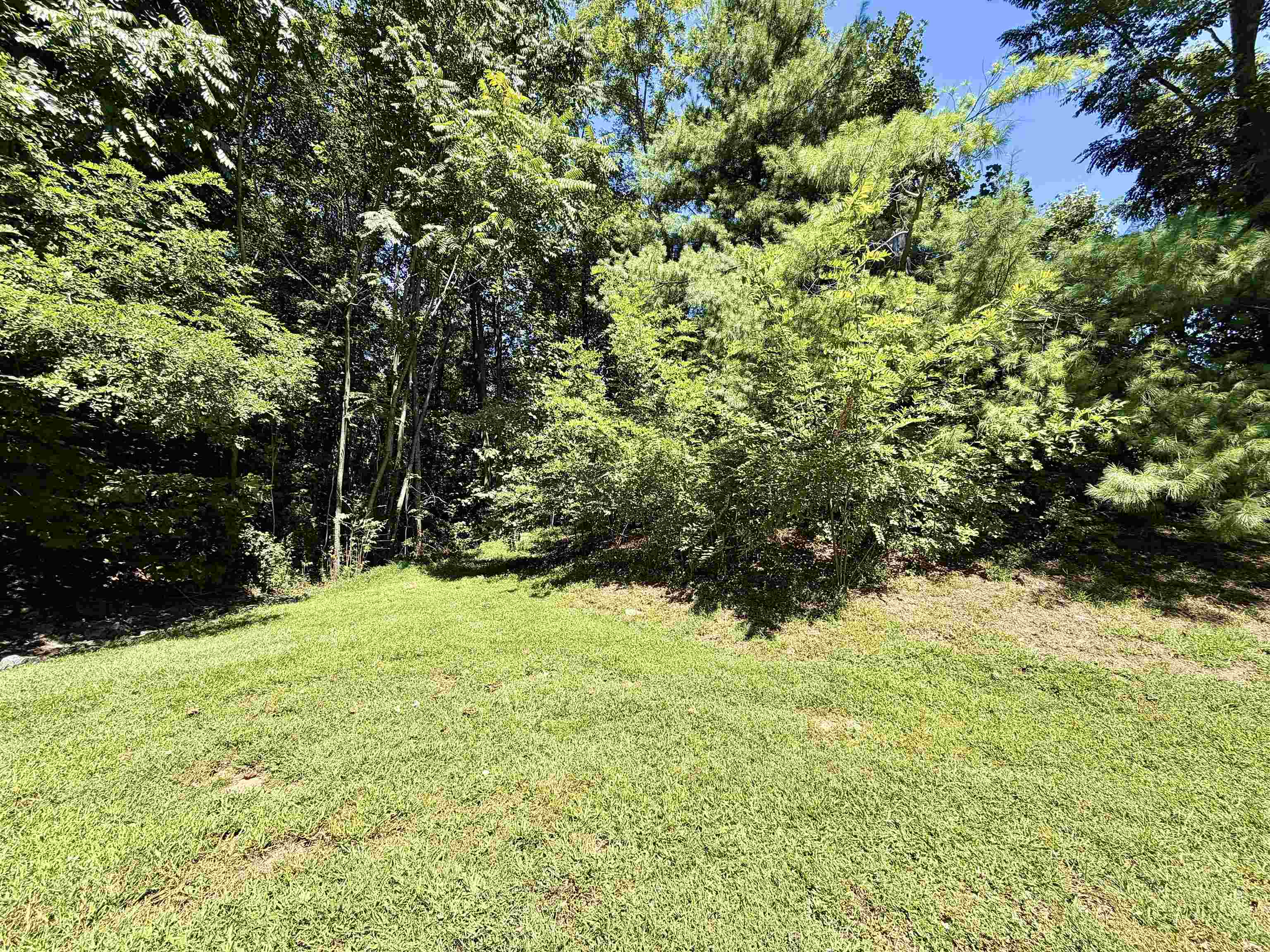 341714 Property Photo 5