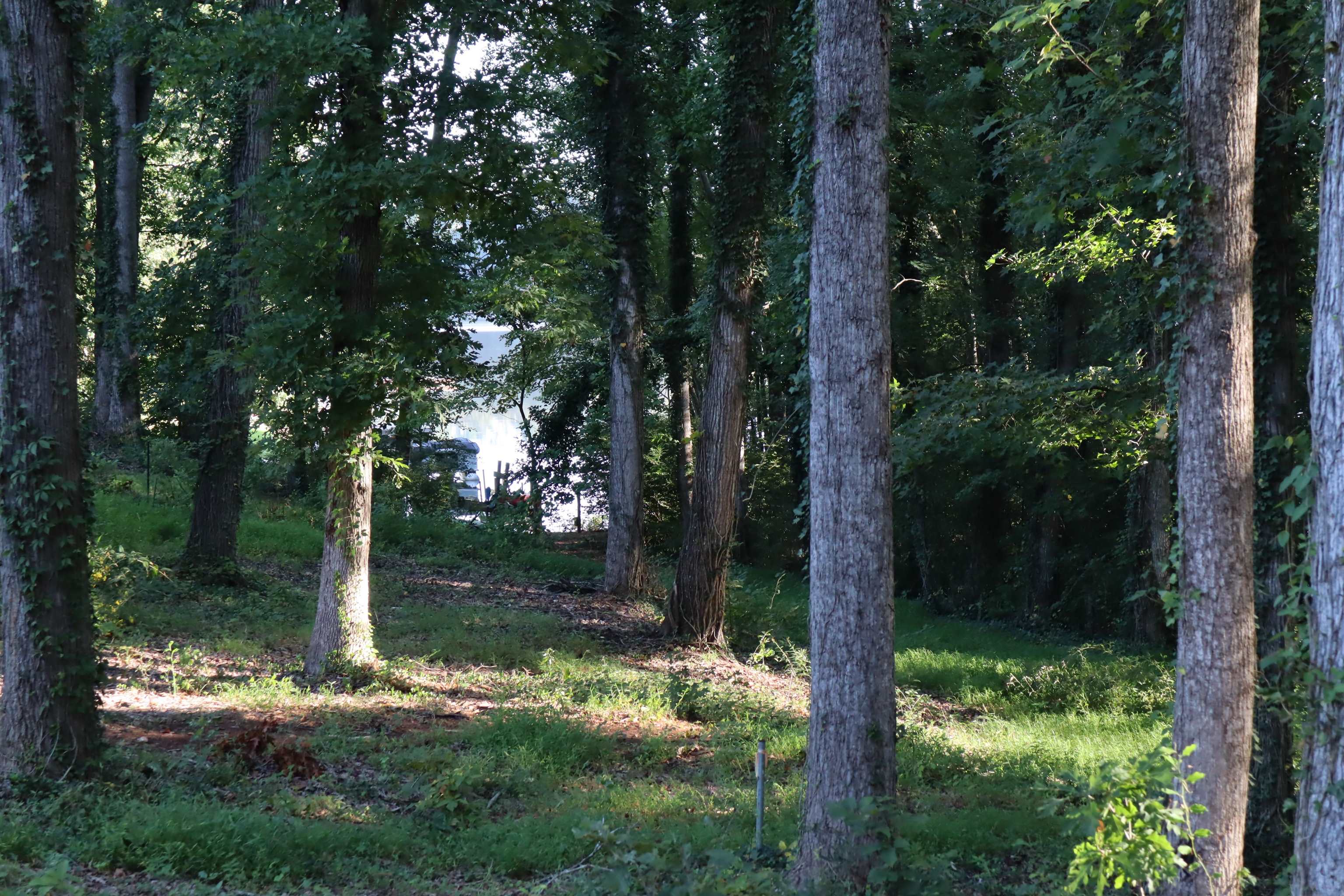 341717 Property Photo 4