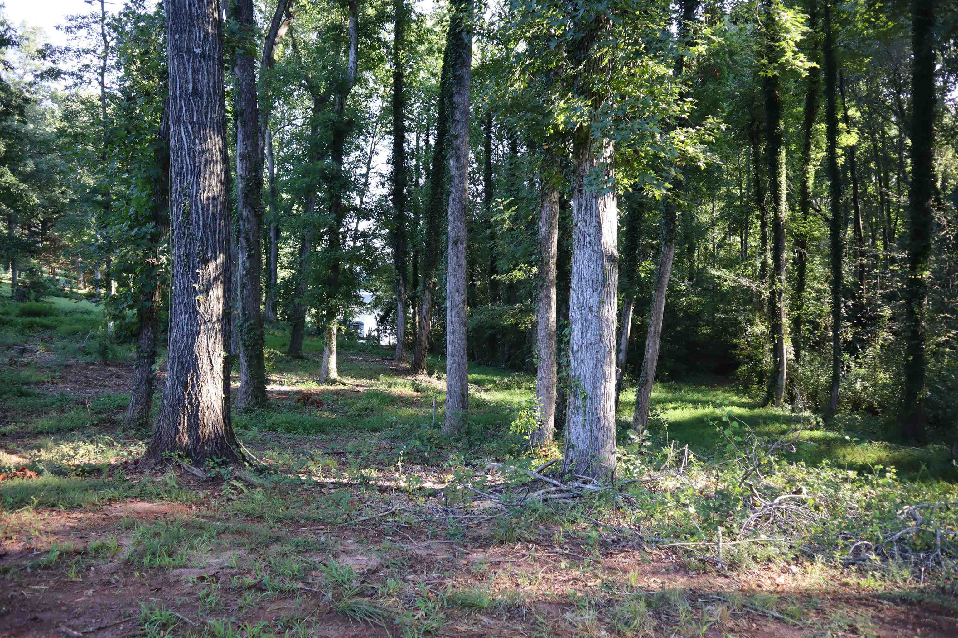 341717 Property Photo 5
