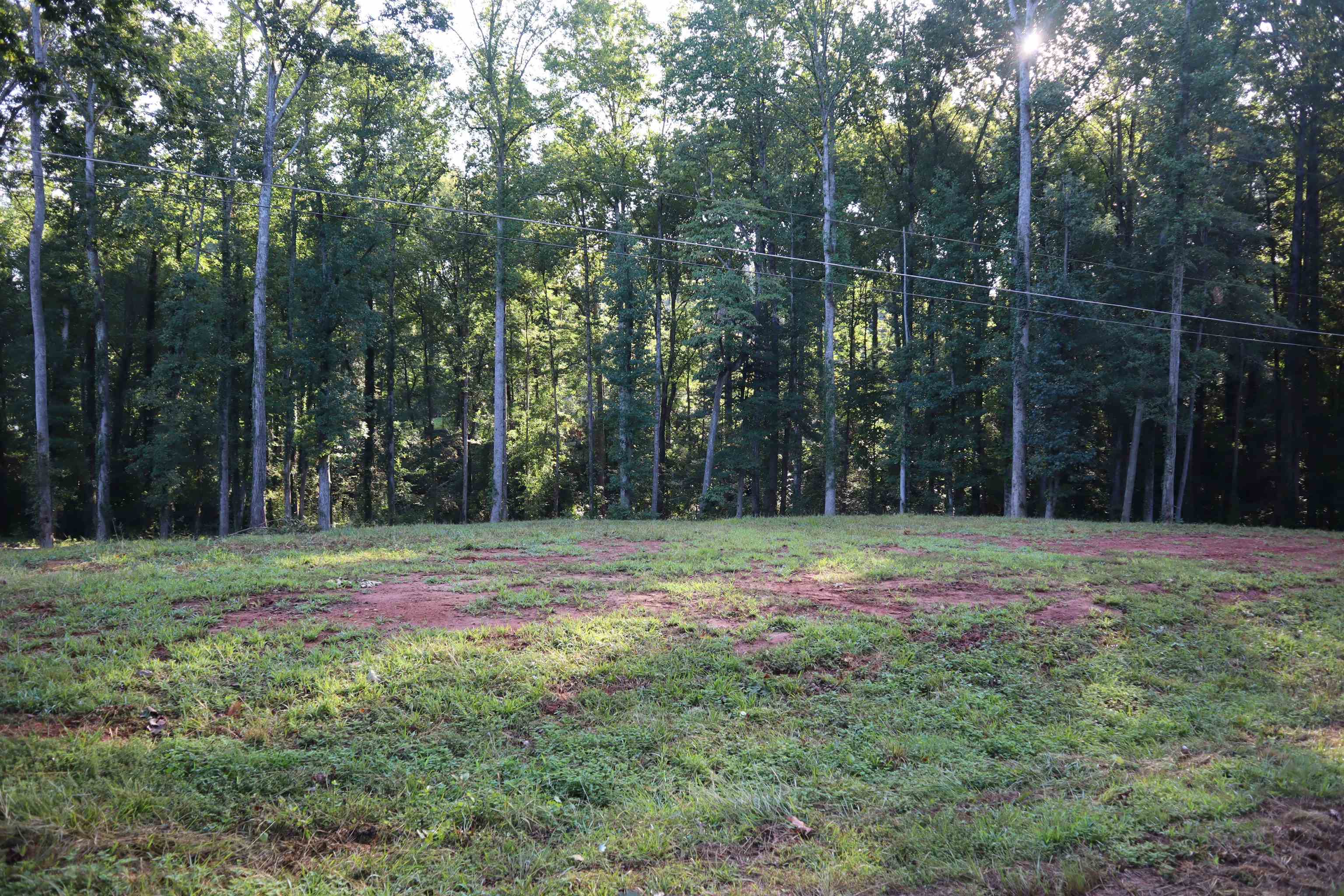 341717 Property Photo 6
