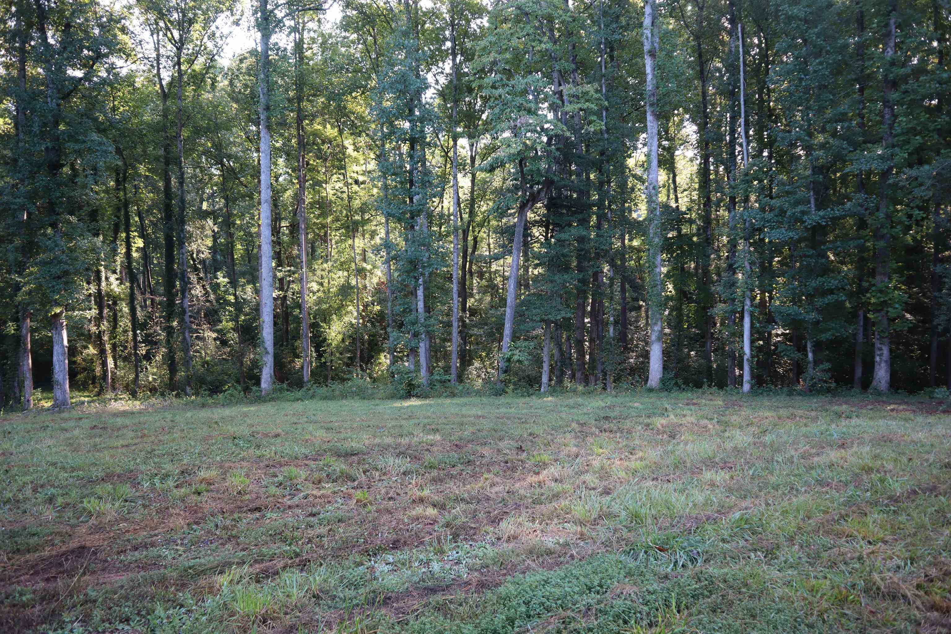 341717 Property Photo 8