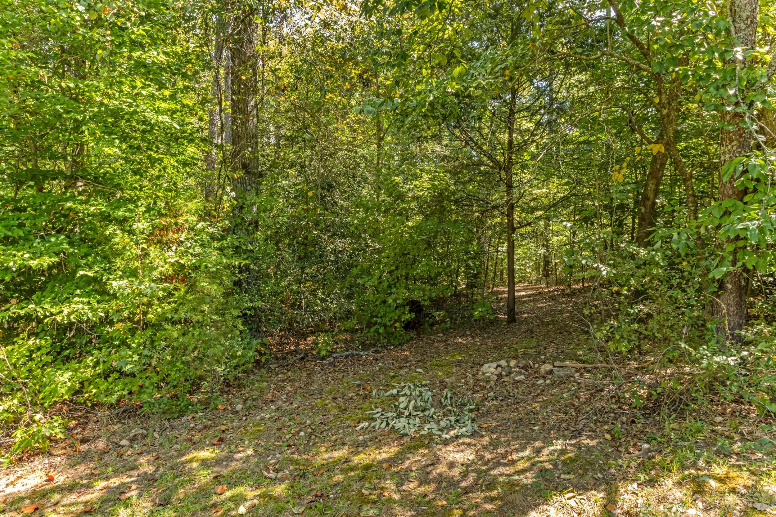 506 Charlies Creek Road Property Photo 25