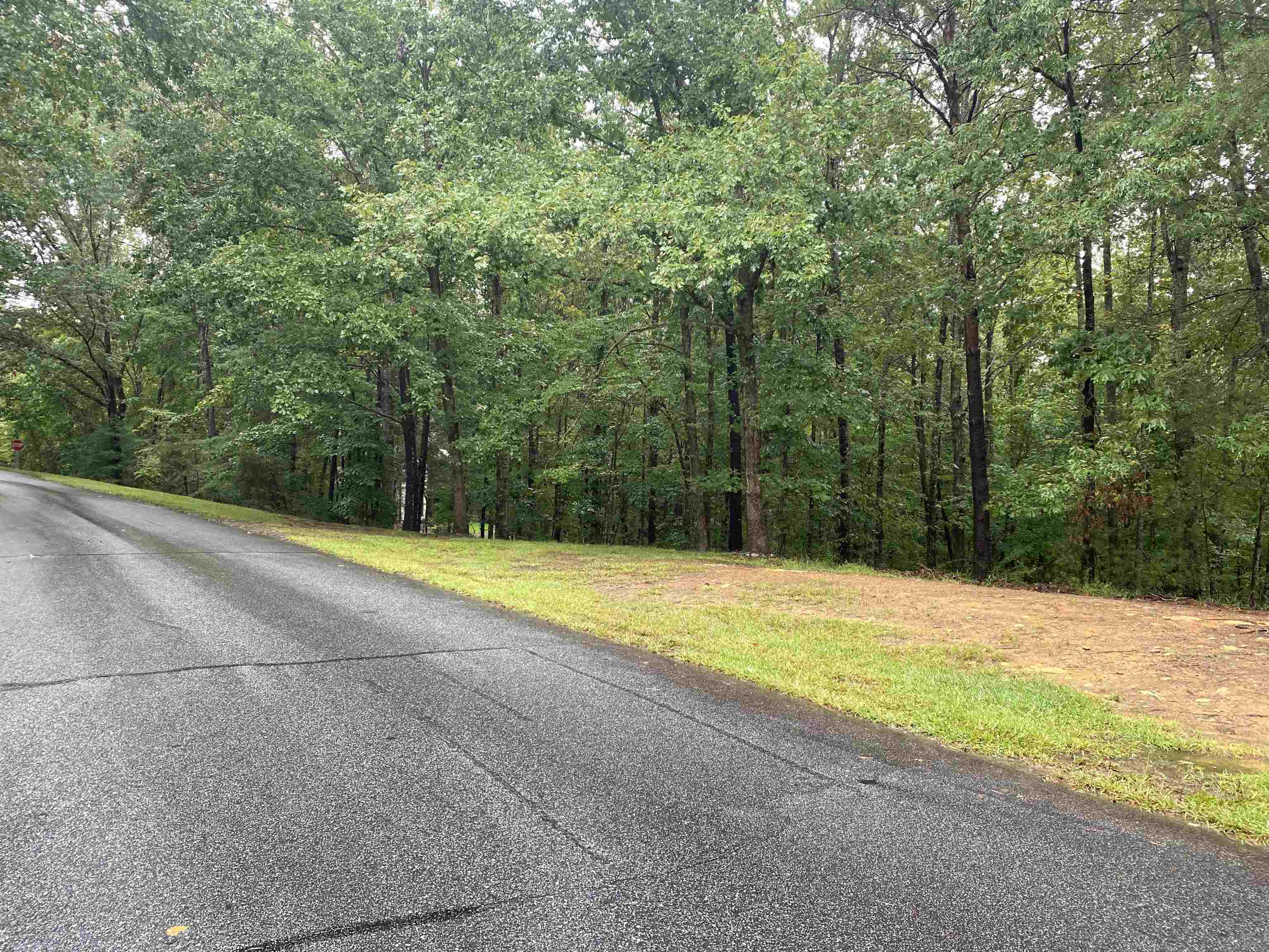 341736 Property Photo 2
