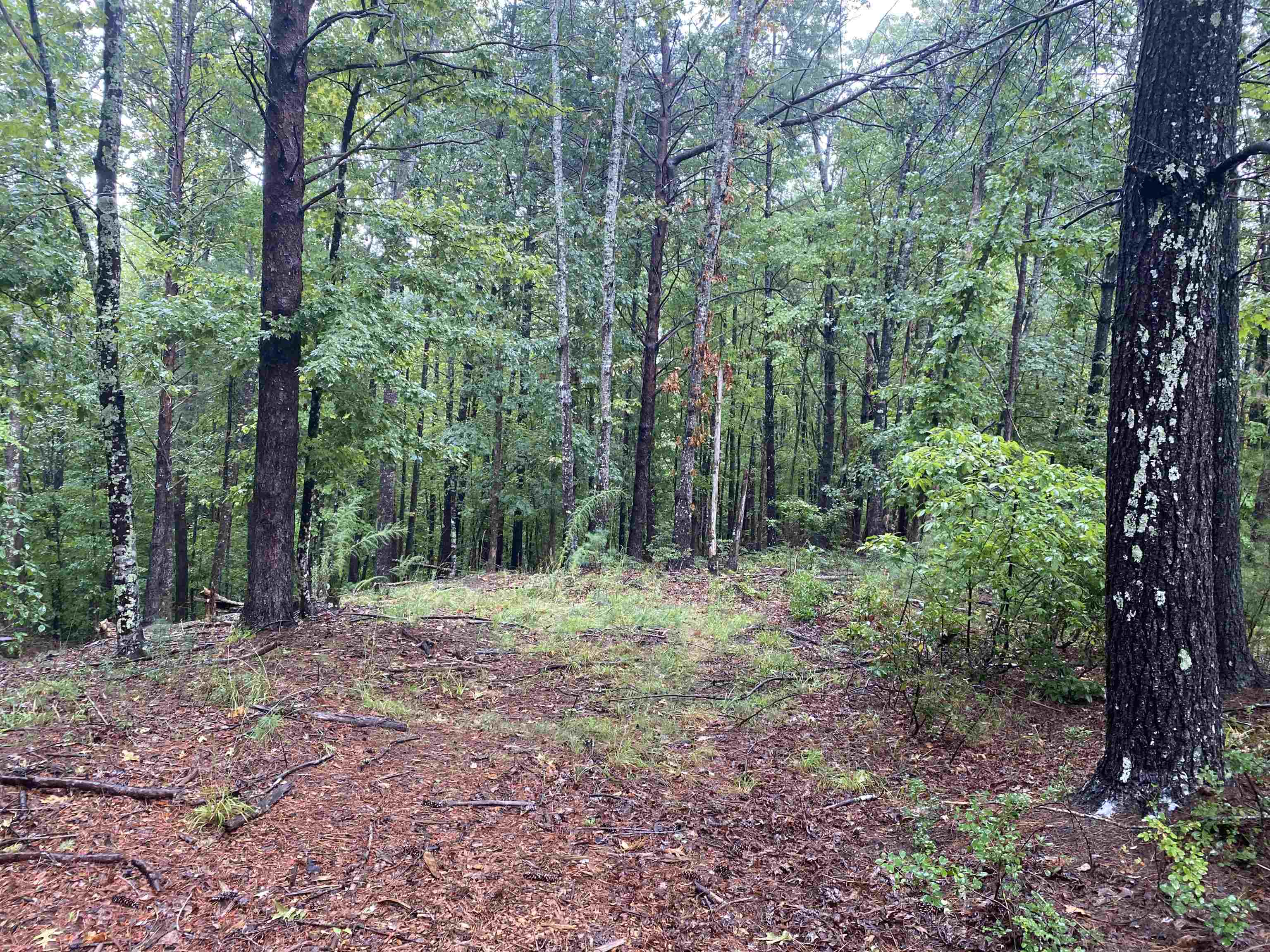 341736 Property Photo 3