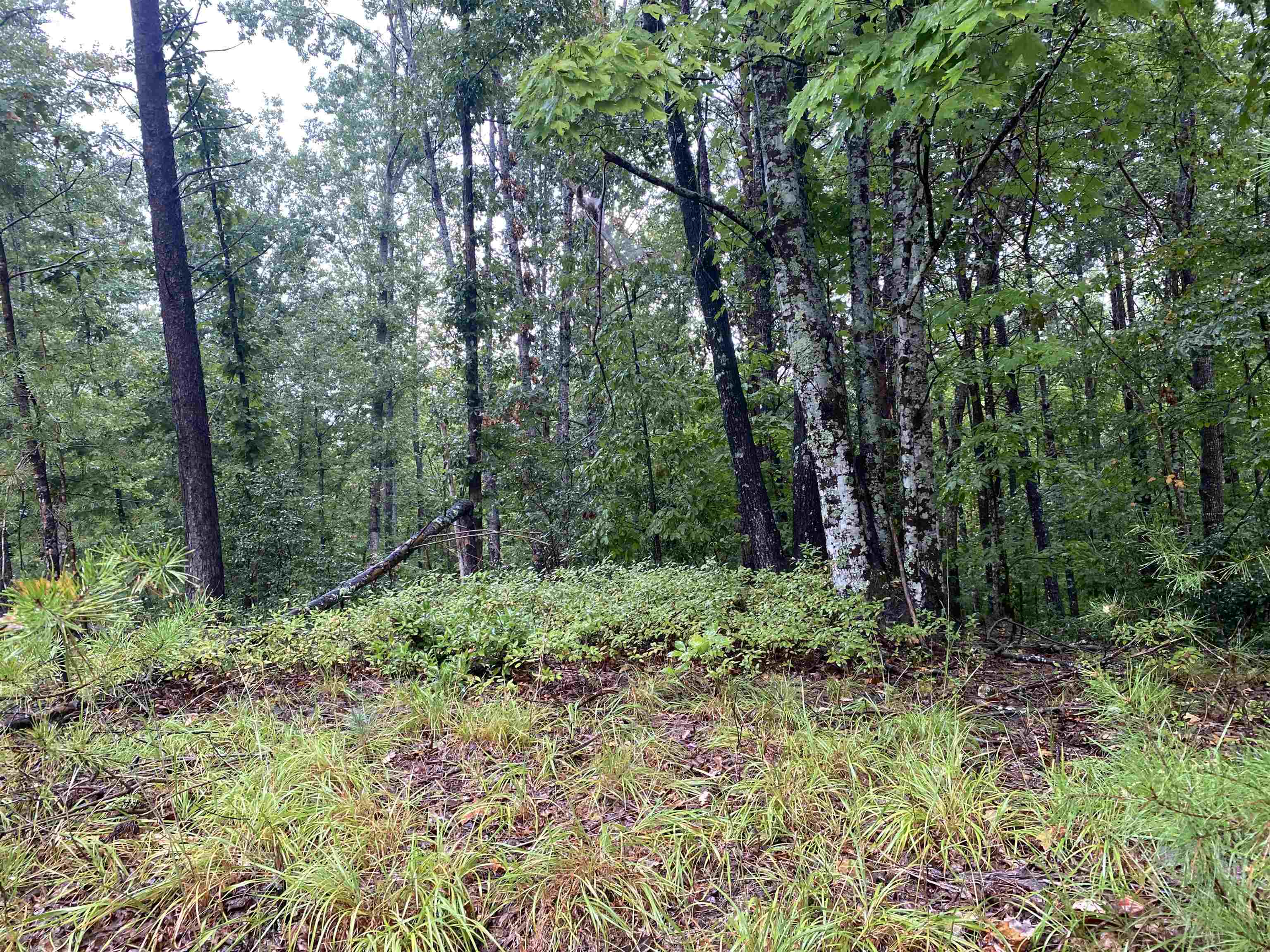 341736 Property Photo 5