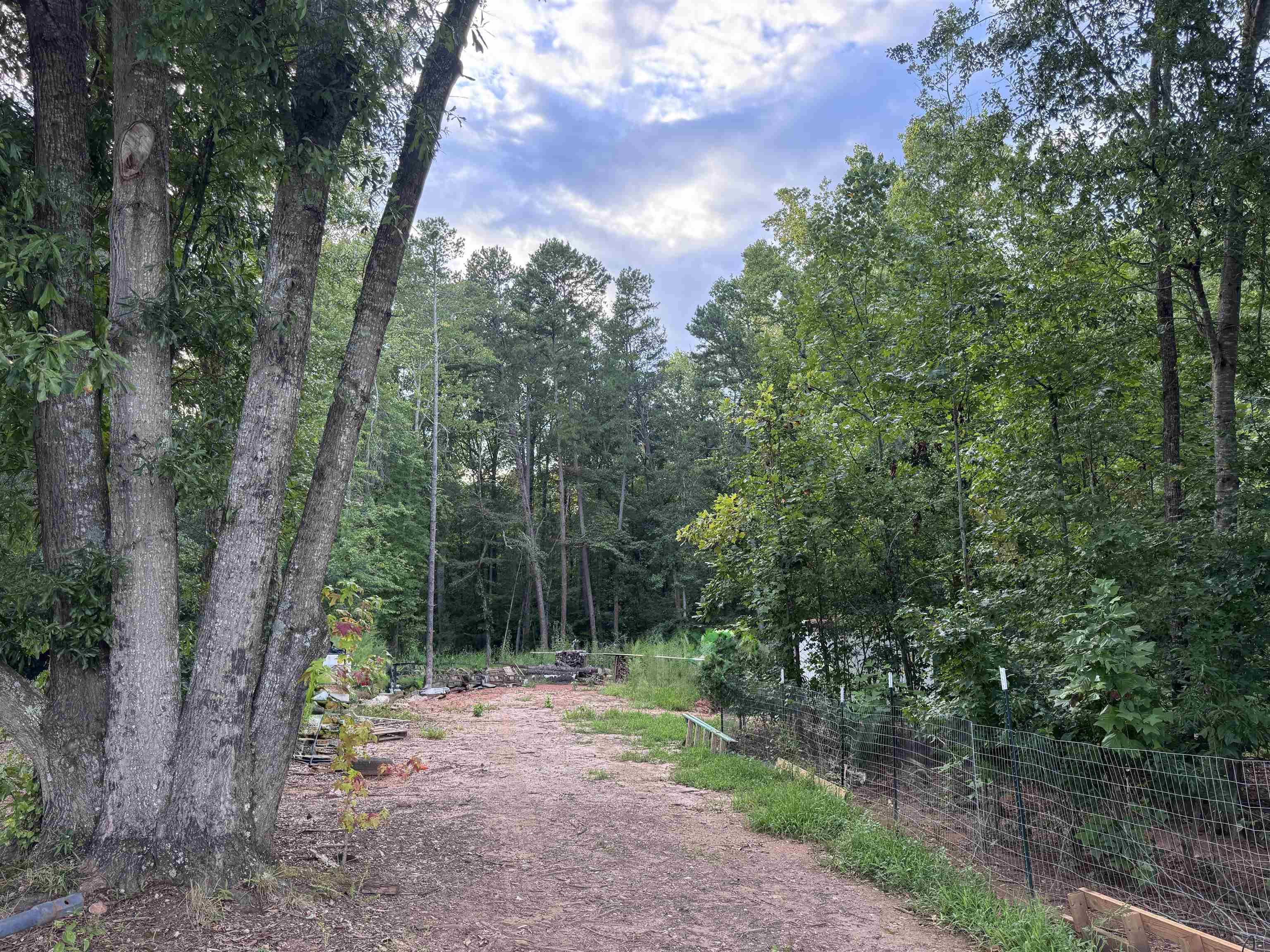 232 Bertha Burns Rd Property Photo 34