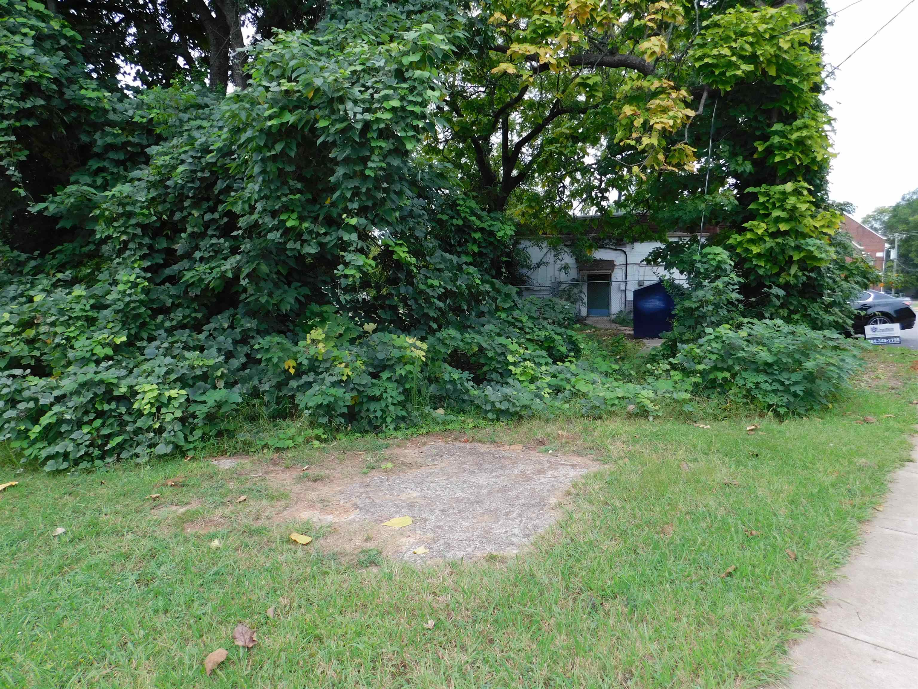 341779 Property Photo 3