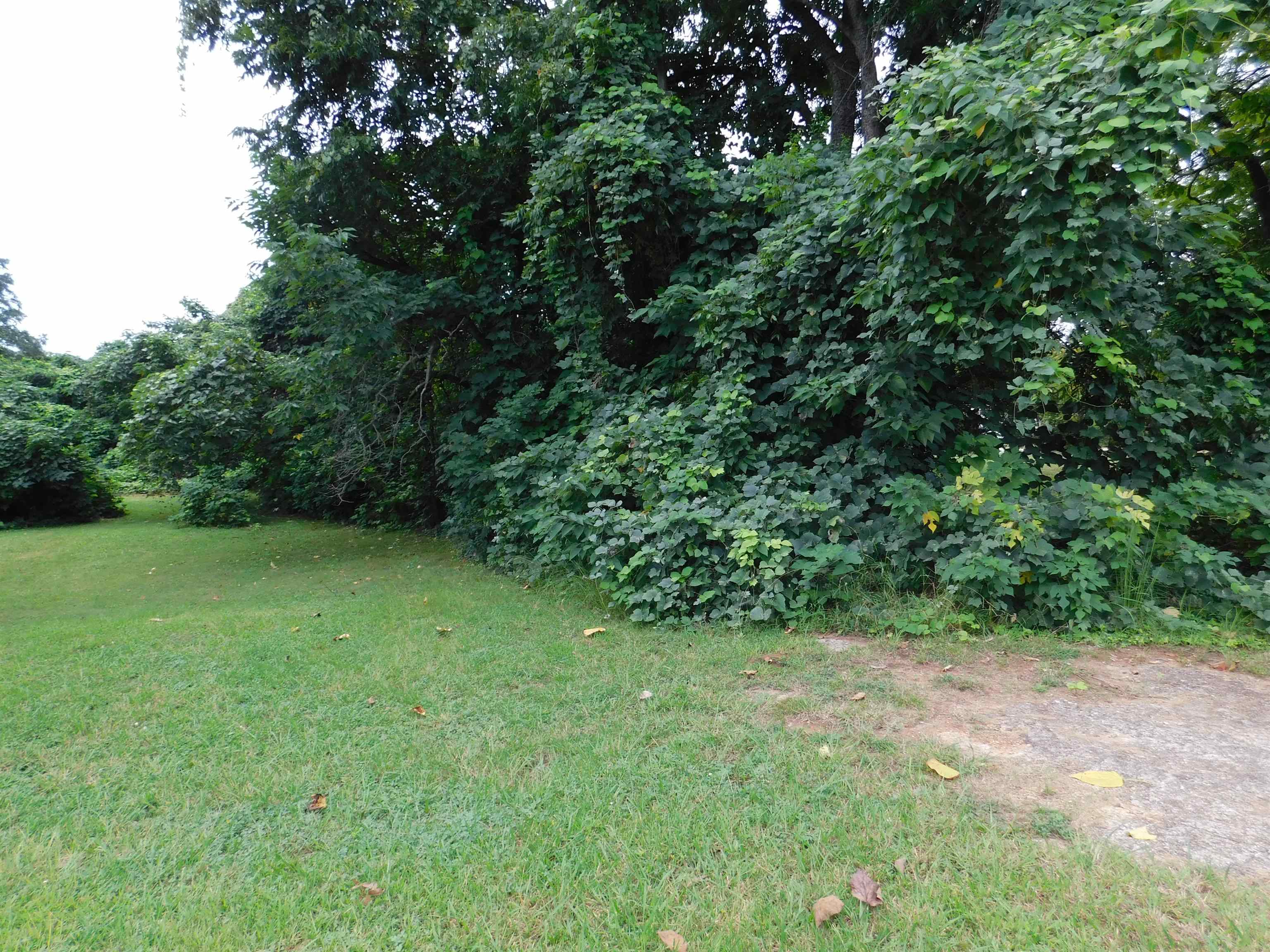 341779 Property Photo 4