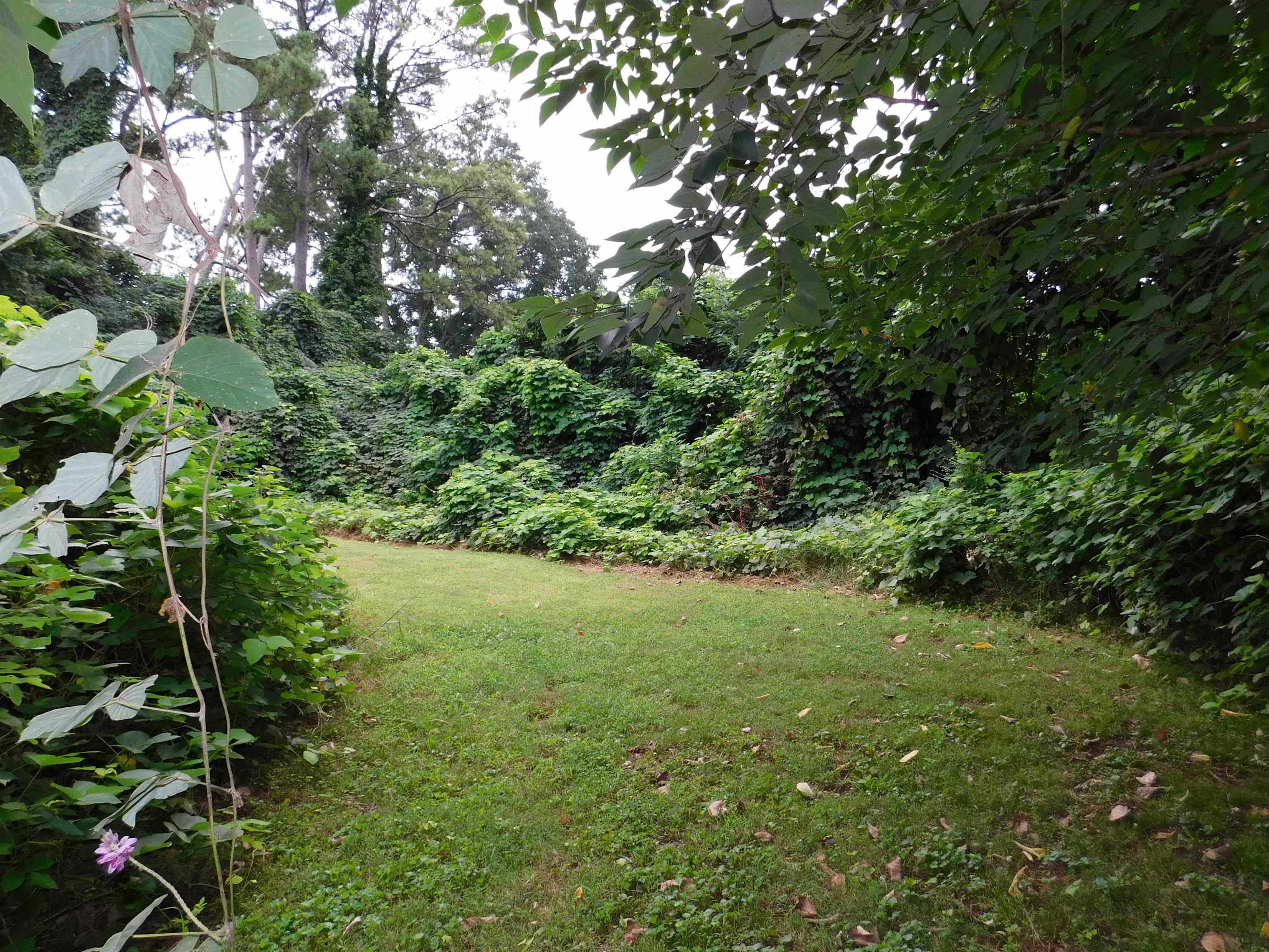 341779 Property Photo 5