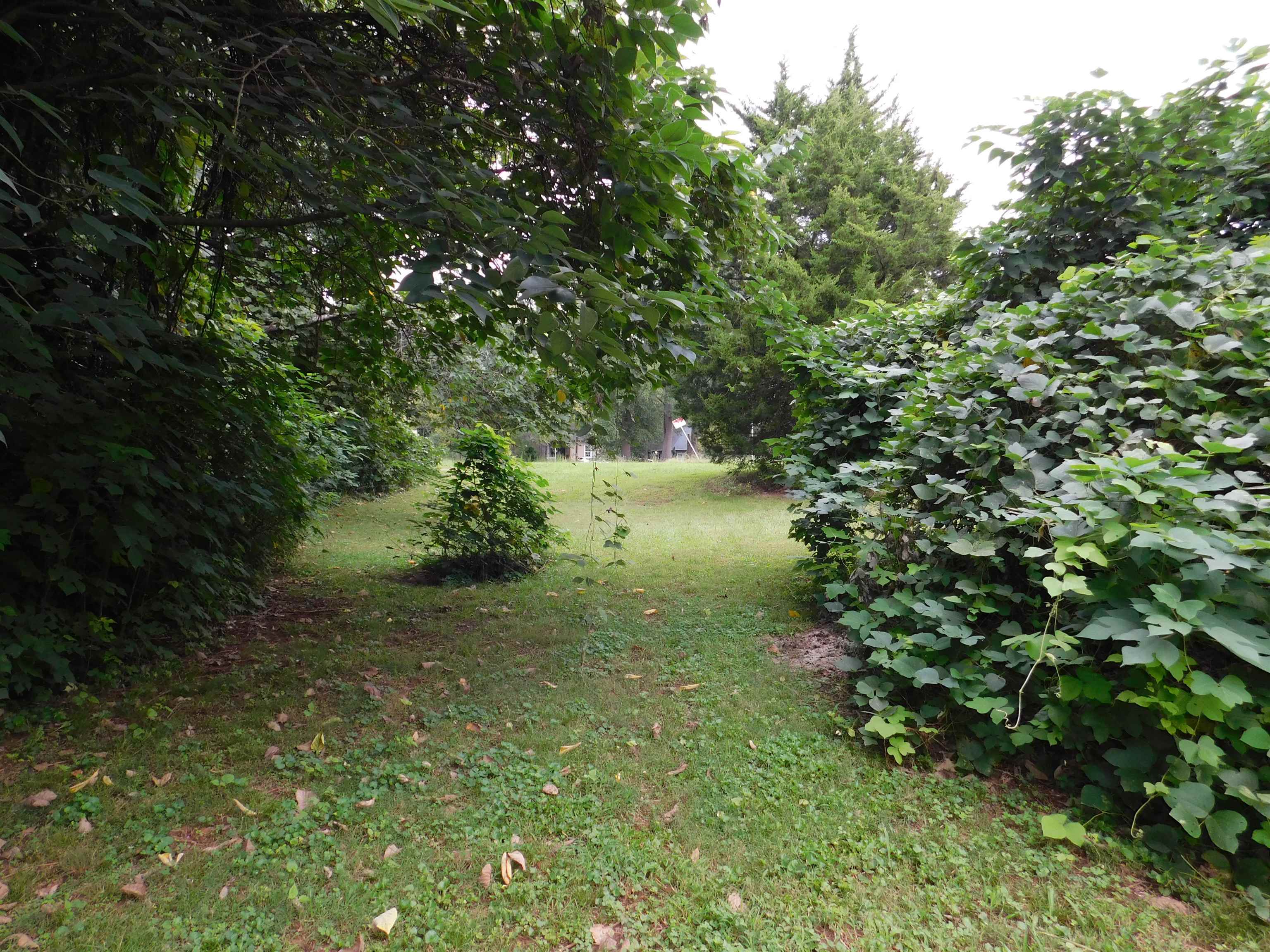 341779 Property Photo 7