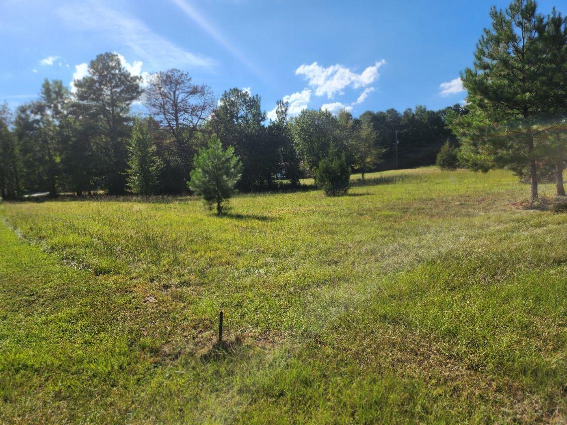 341782 Property Photo 1