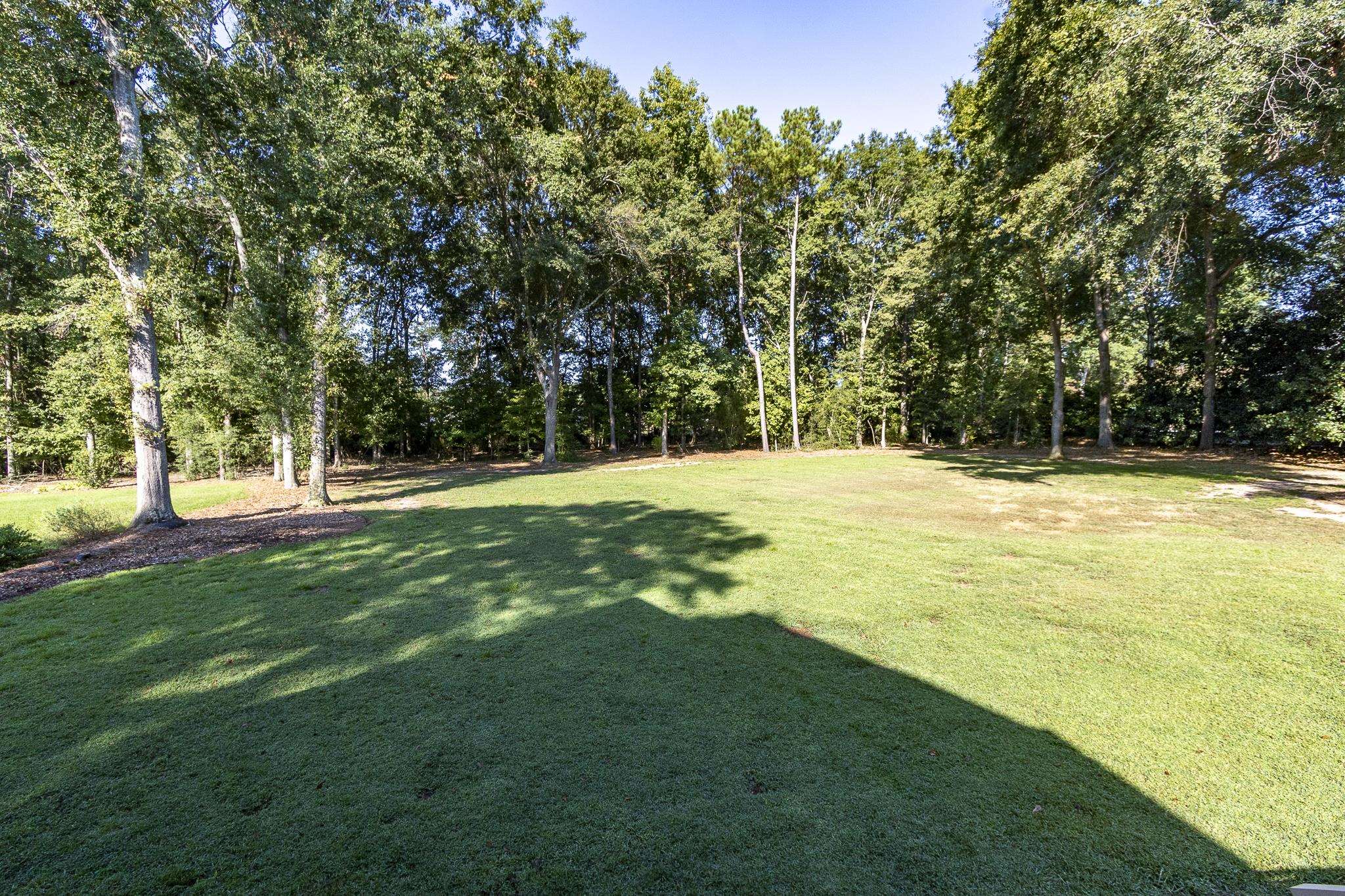 1117 Thornehill Drive Property Photo 46