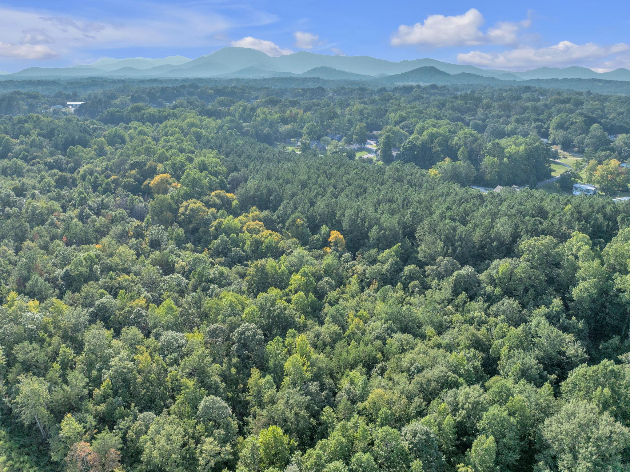 341798 Property Photo 6