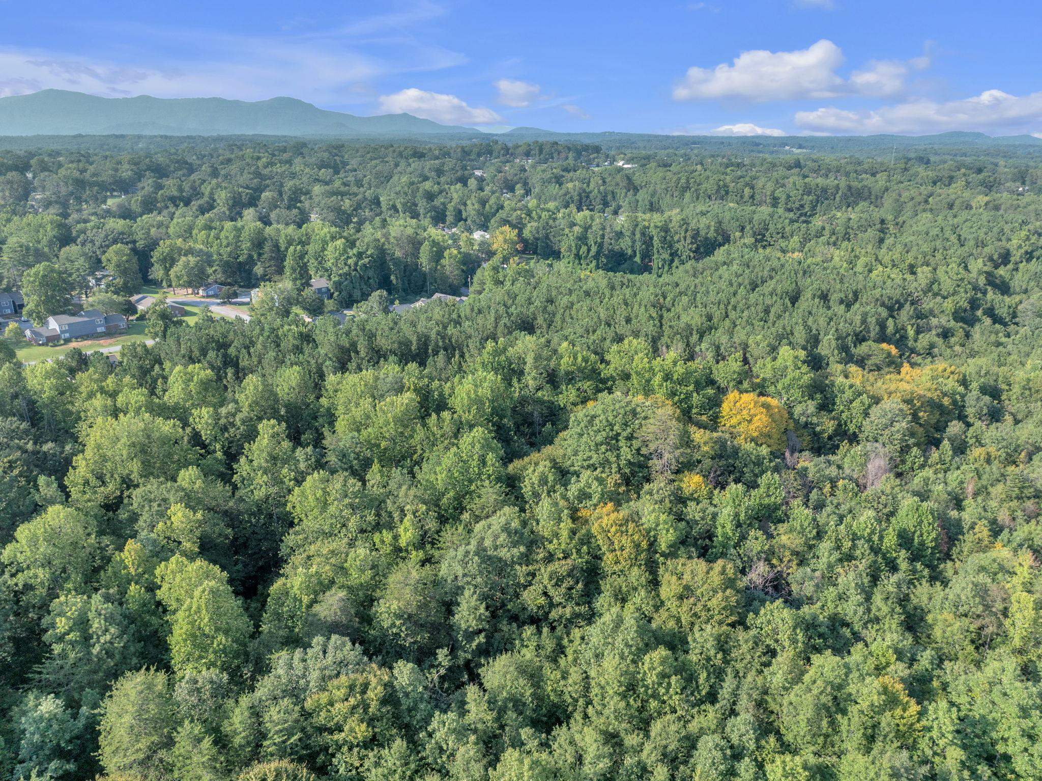 341798 Property Photo 14