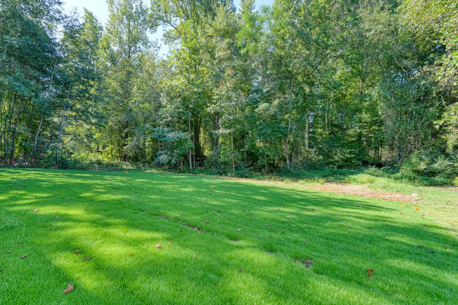2040 Ivy Cottage Path Property Photo 44