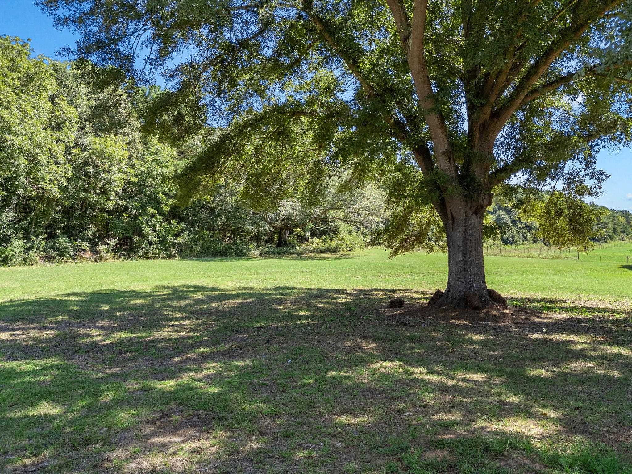 109 Lanford Road Property Photo 37