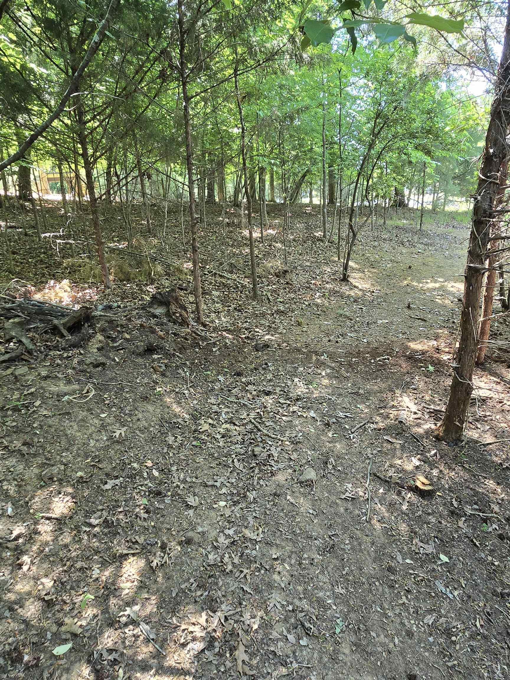 341821 Property Photo 4