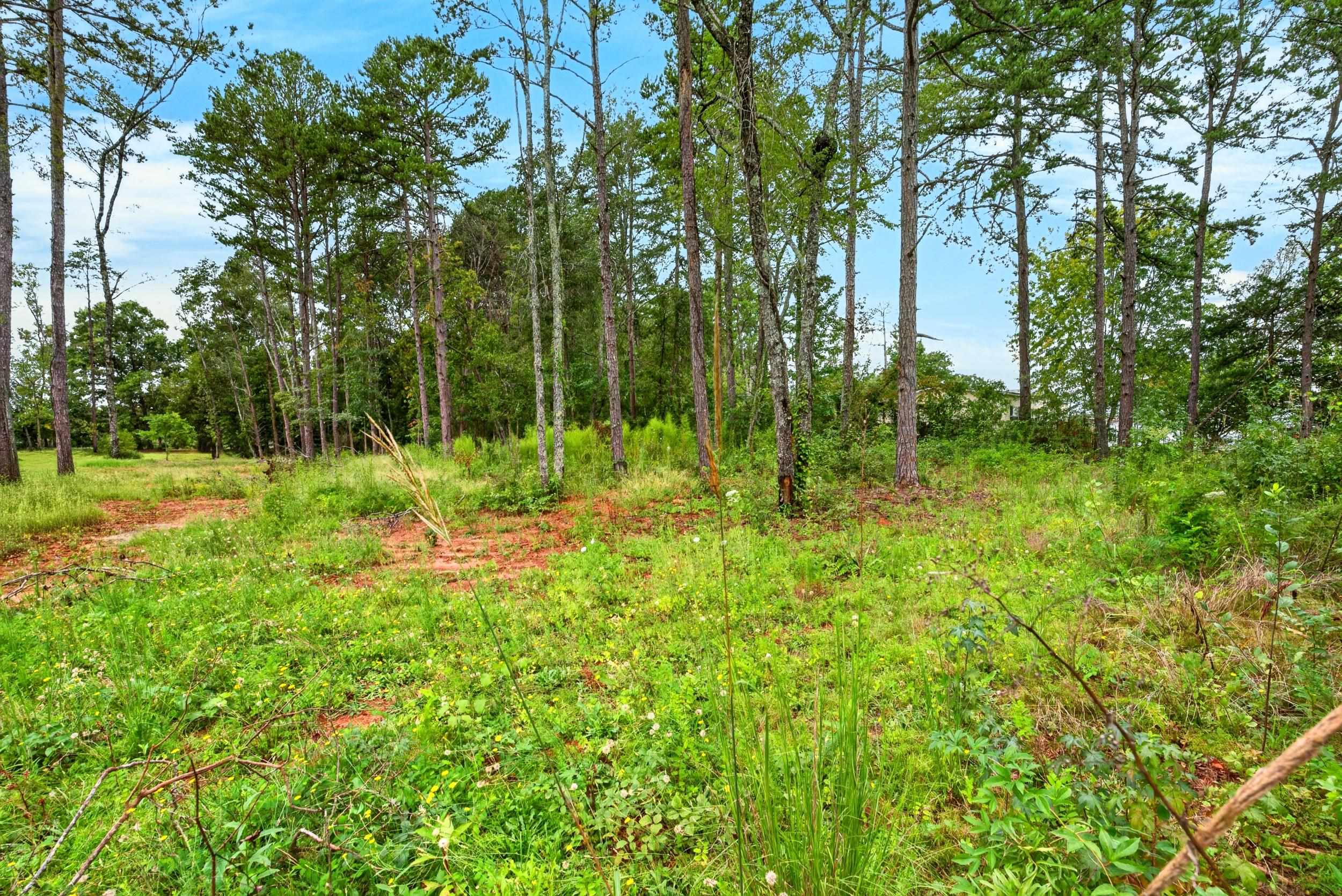 341856 Property Photo 8