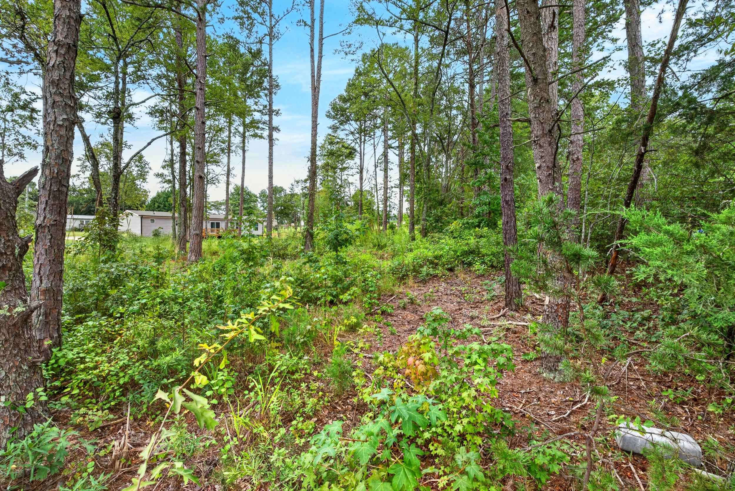 341856 Property Photo 9