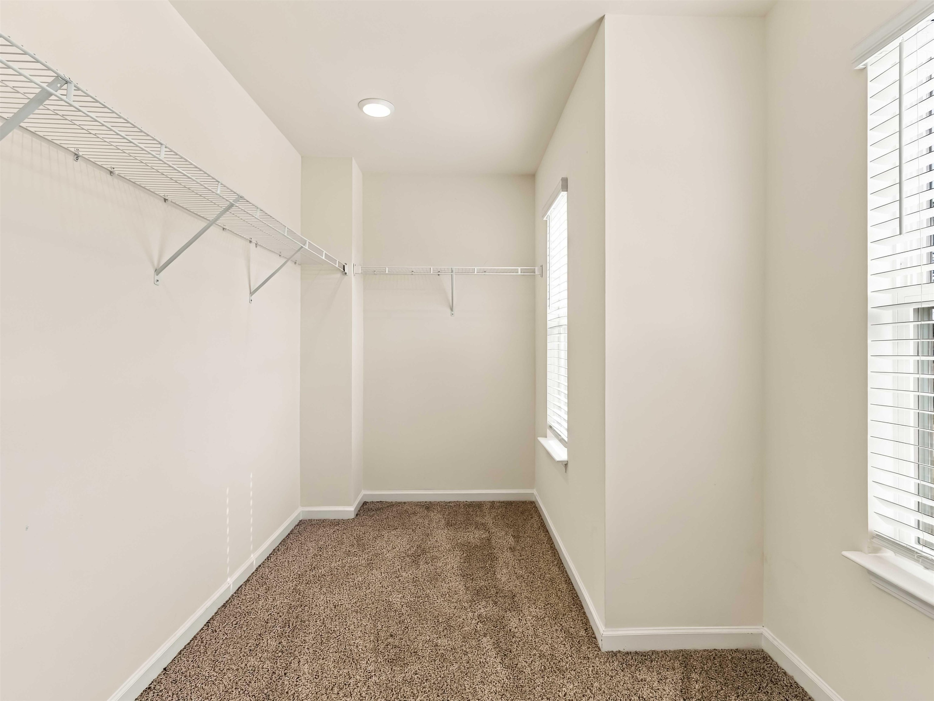 6045 Haddington Drive Property Photo 29