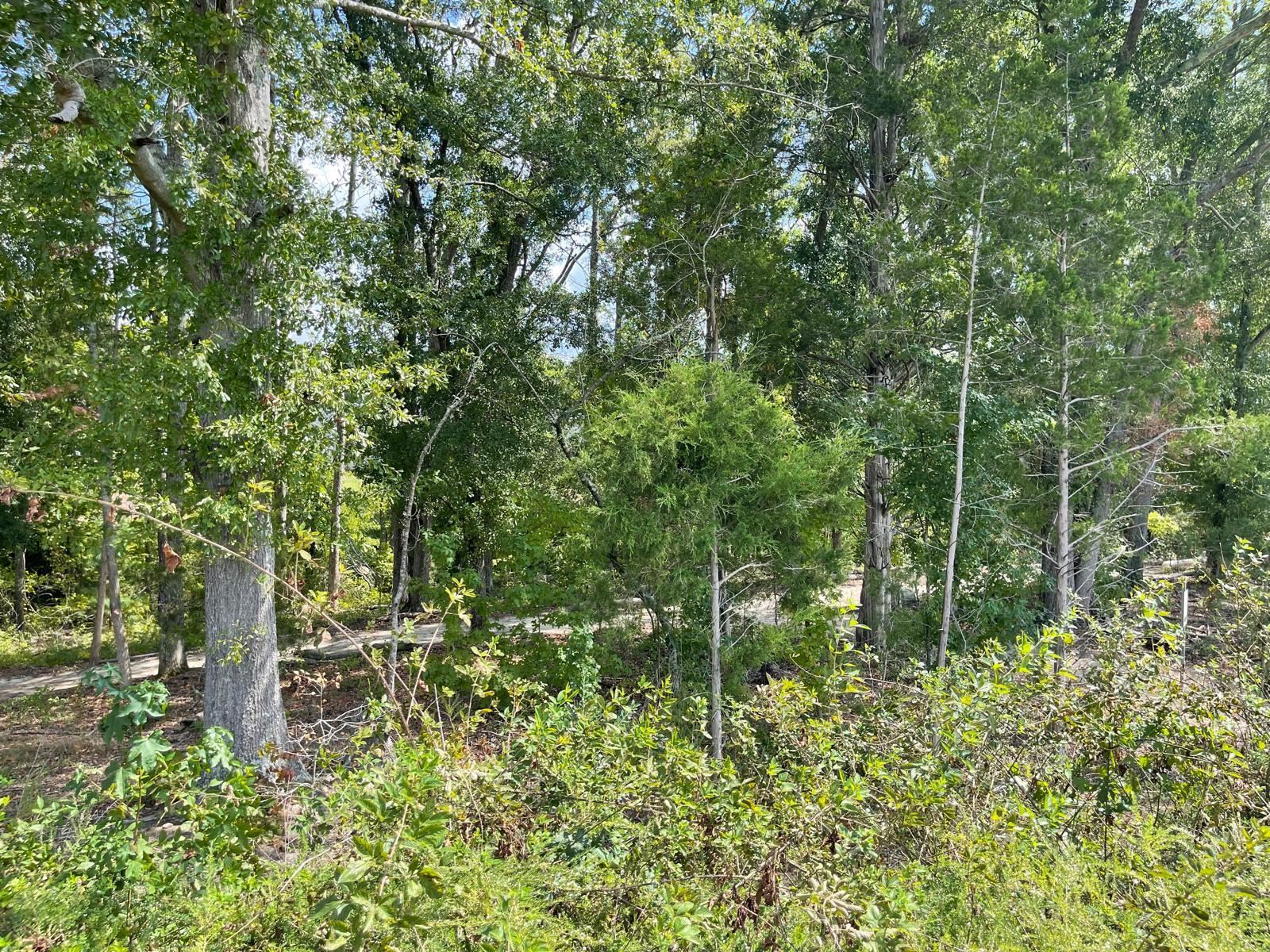 584 Eden Hall Road Property Photo 37