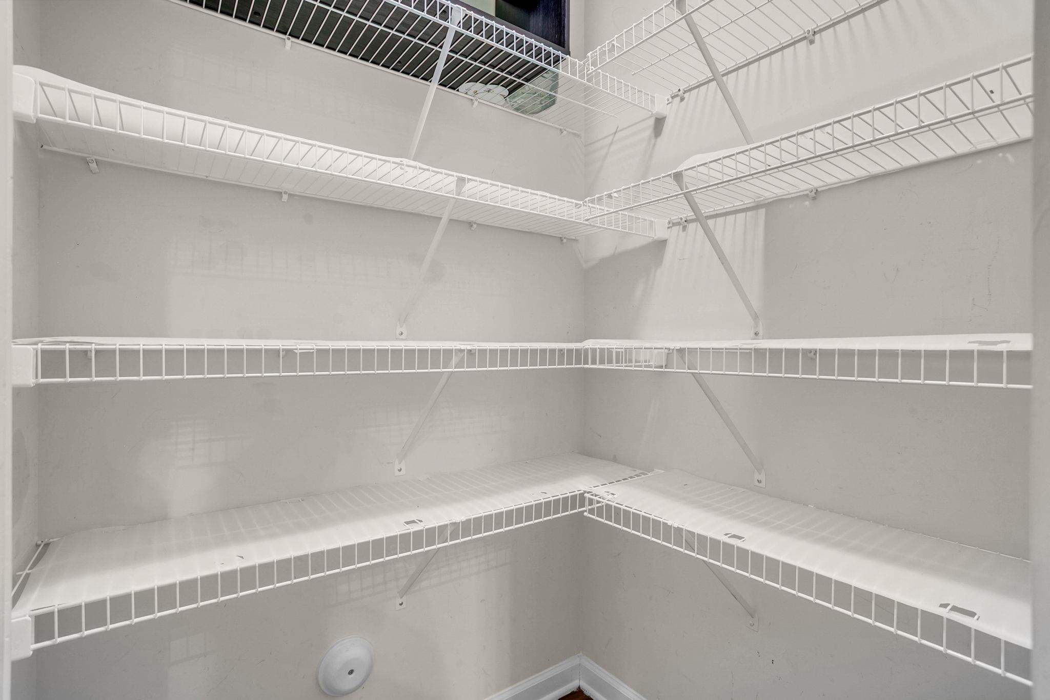 256 Cotton Creek Drive Property Photo 8