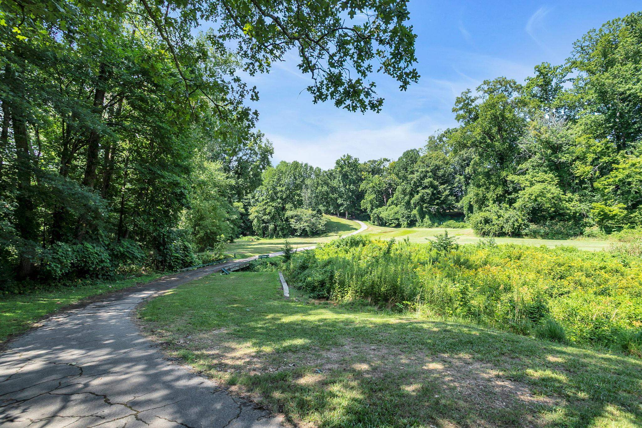 256 Cotton Creek Drive Property Photo 45
