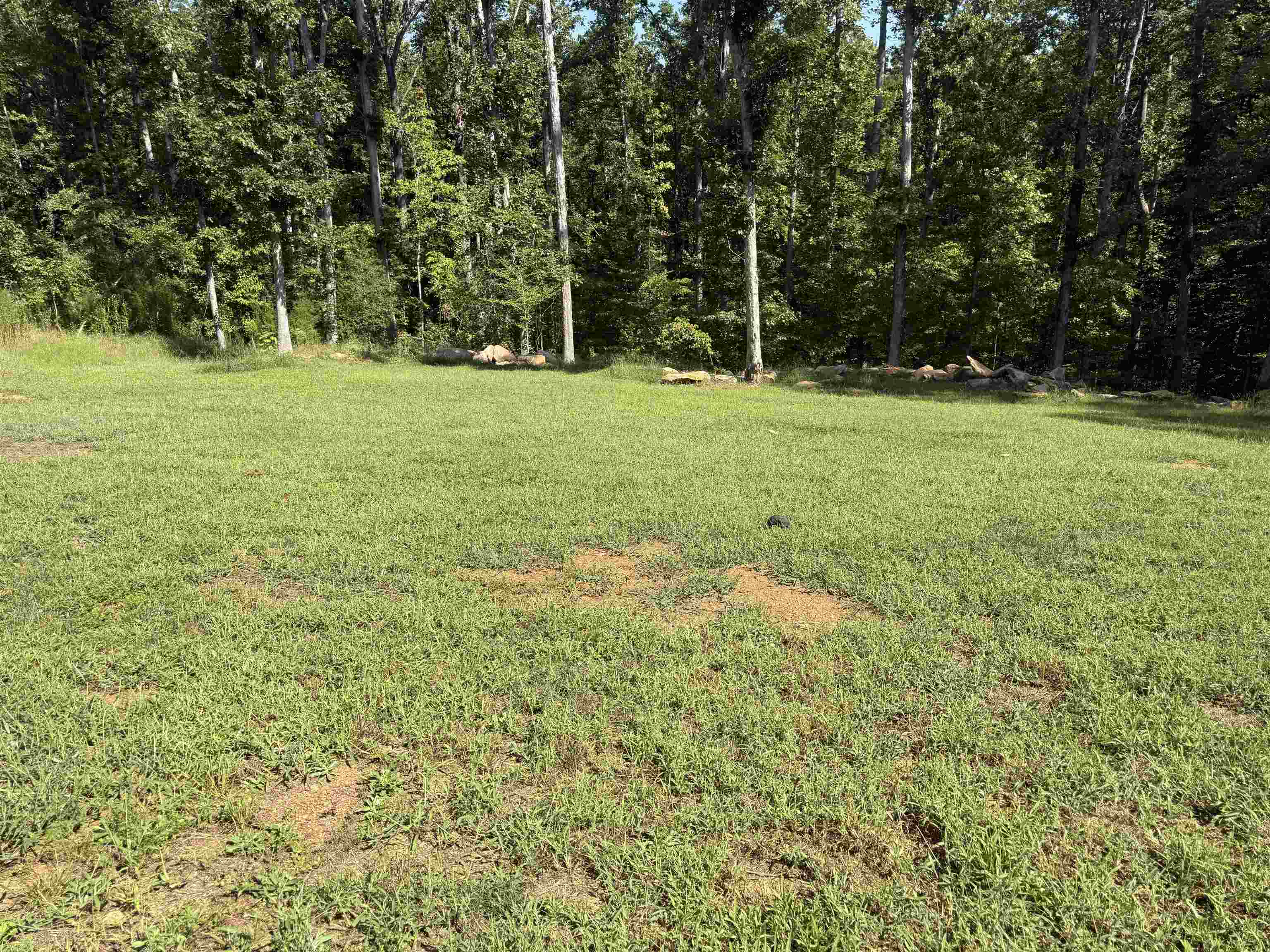54 Lakeview Road Property Photo 28