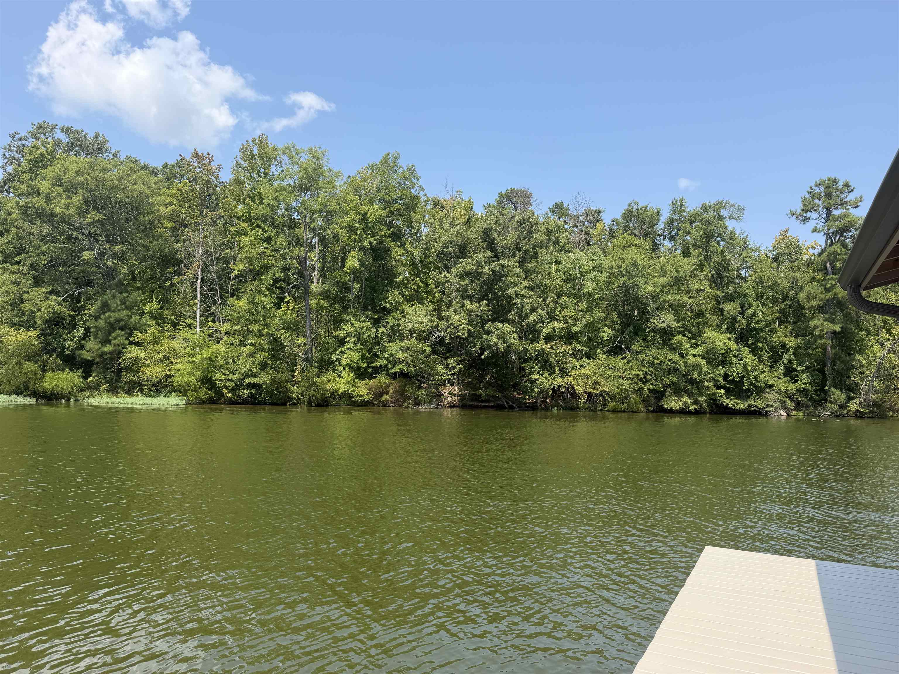 798 Isle Of Pine Circle Property Photo 1