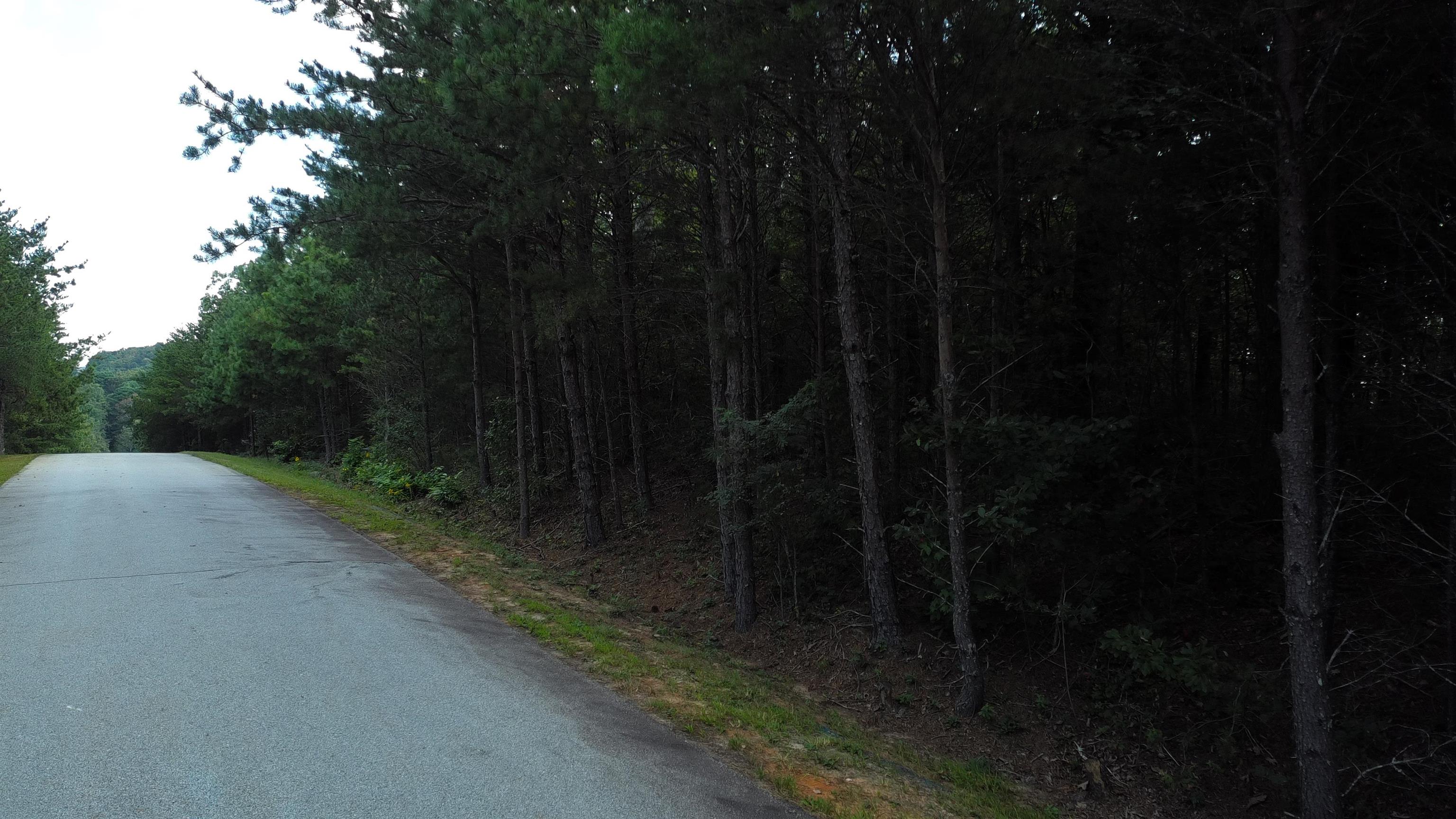342009 Property Photo 2