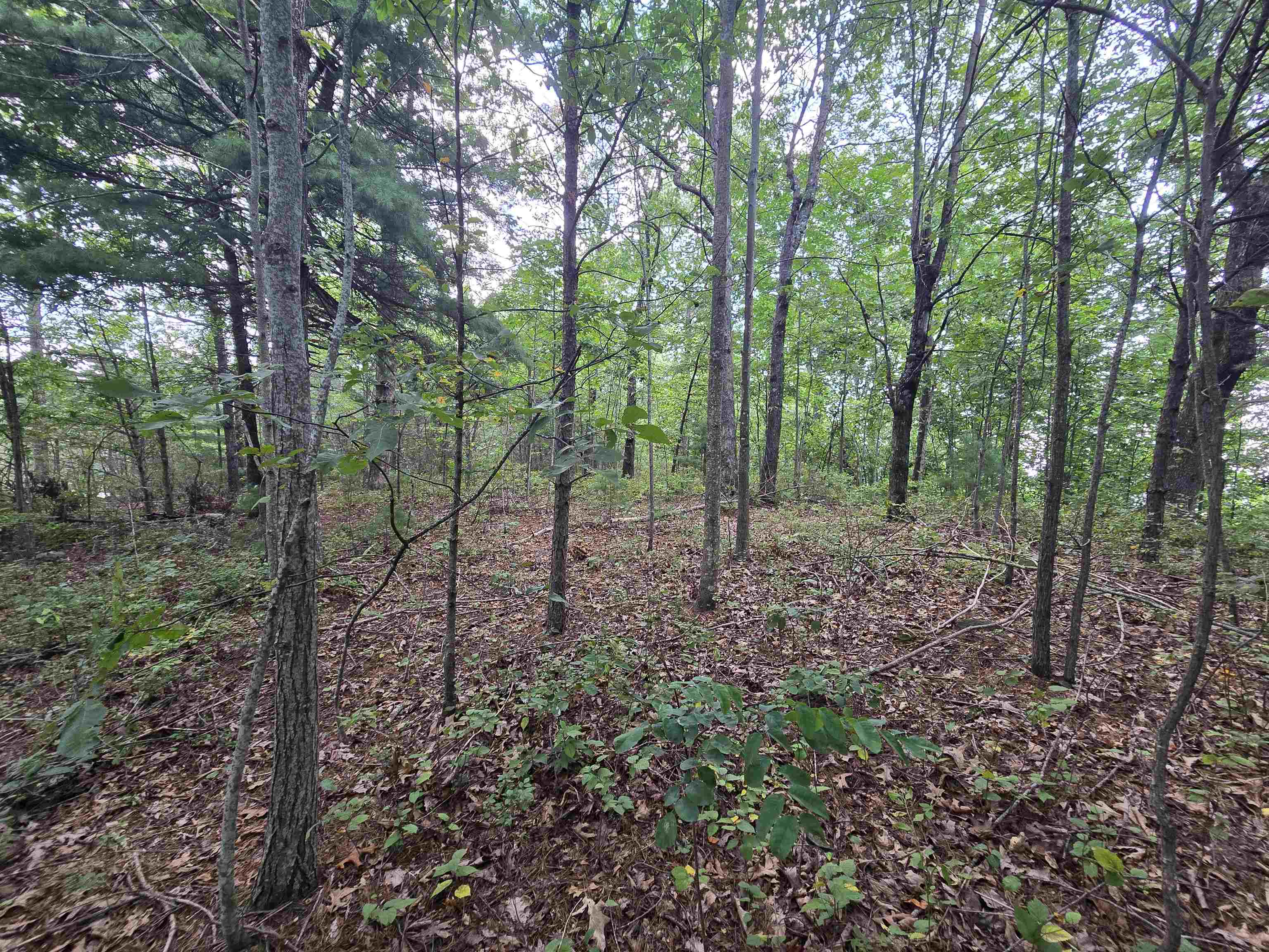 342009 Property Photo 10