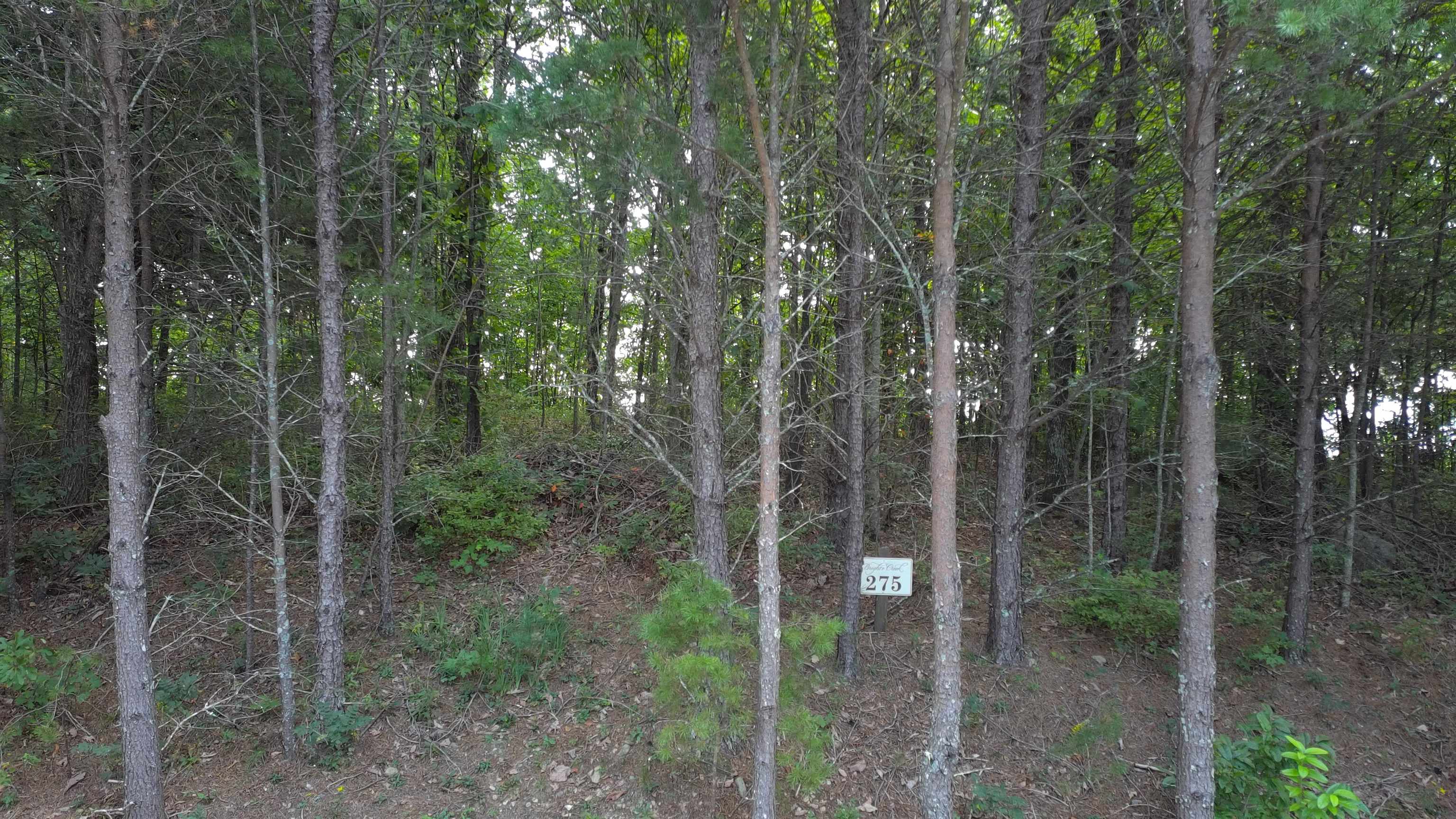 342009 Property Photo 26