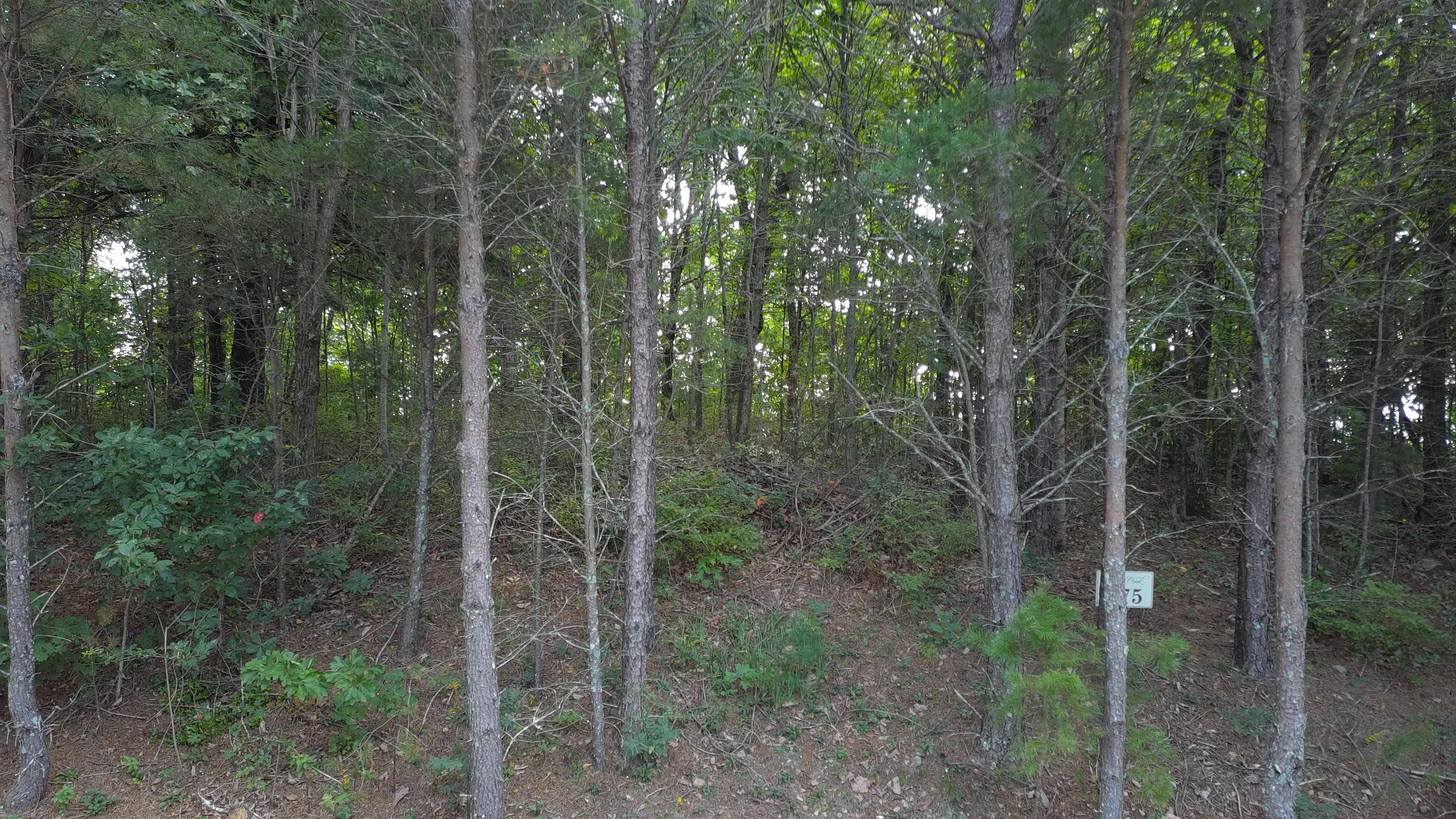 342009 Property Photo 27