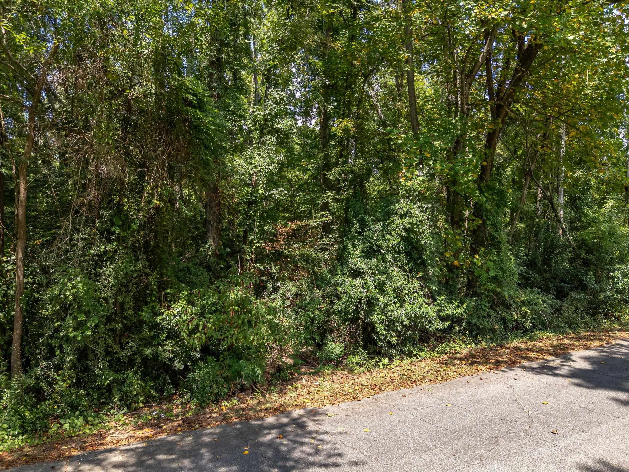 342012 Property Photo 4