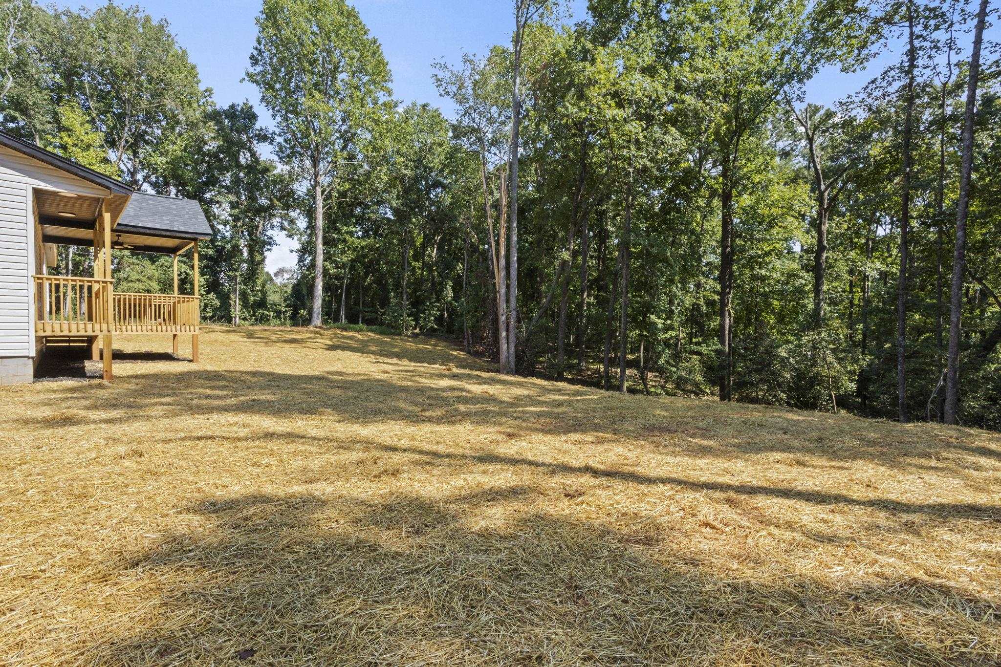 171 Easy Street Property Photo 29