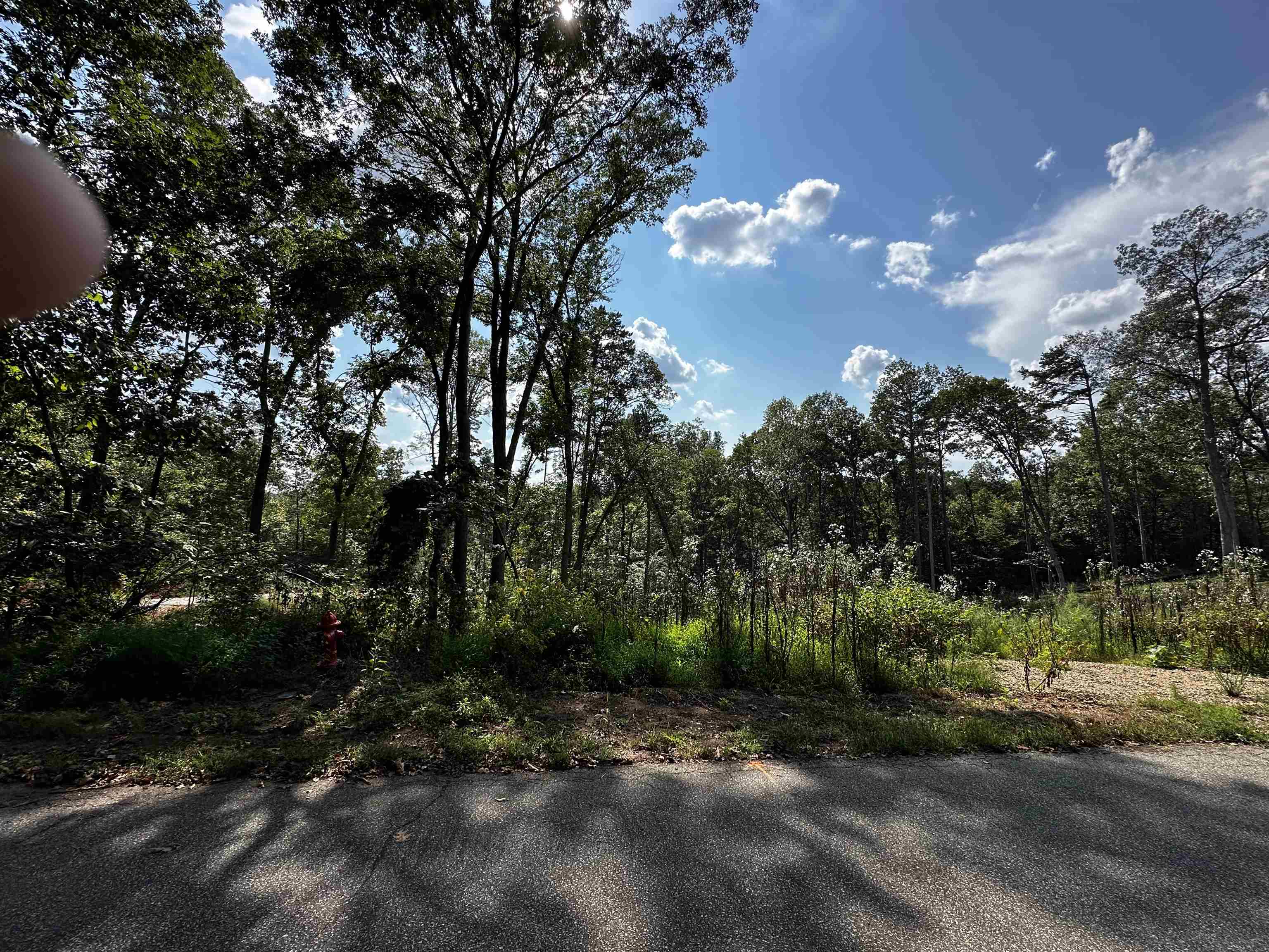 342031 Property Photo 2
