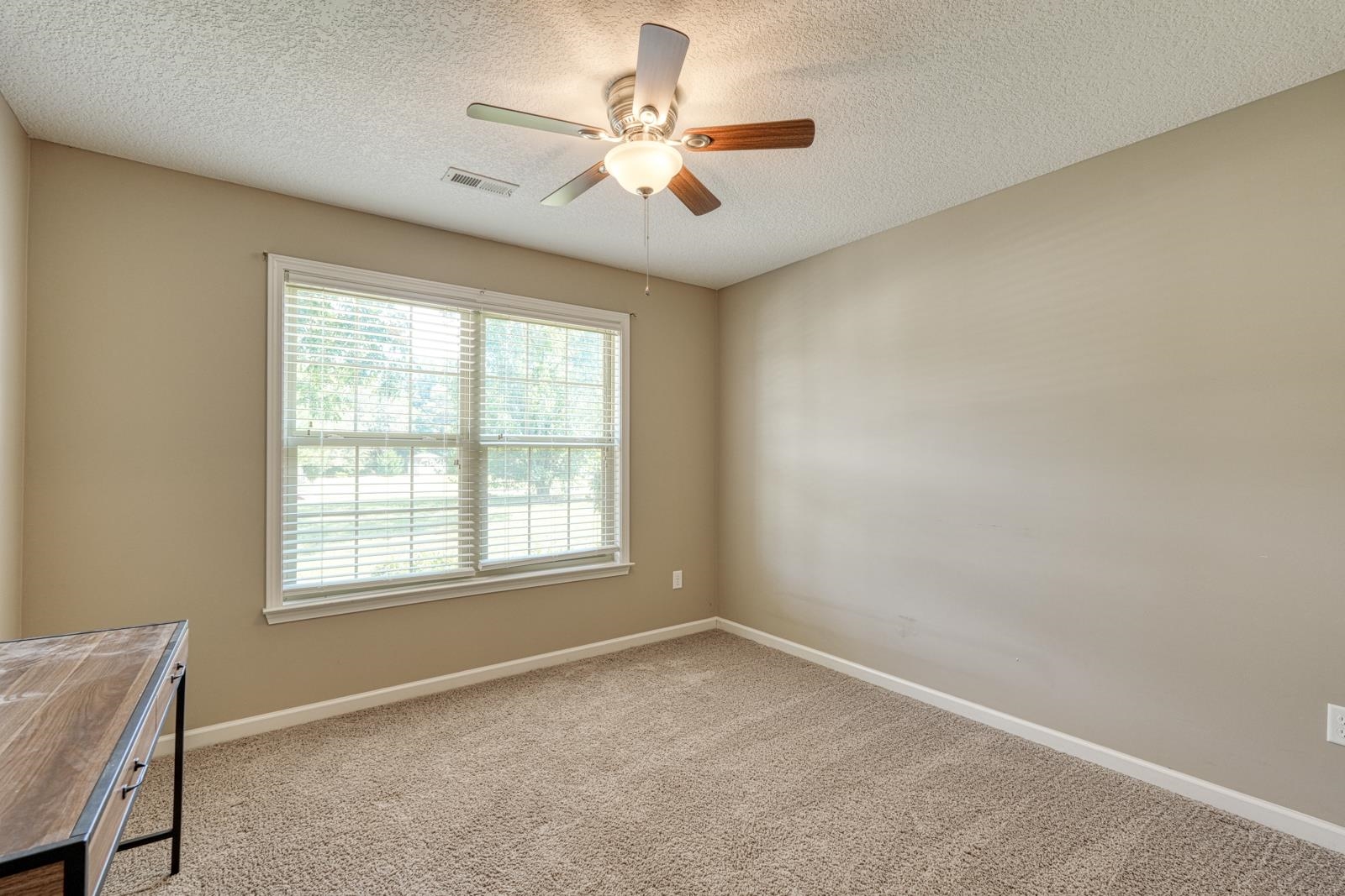 443 Mandys Meadow Drive Property Photo 19