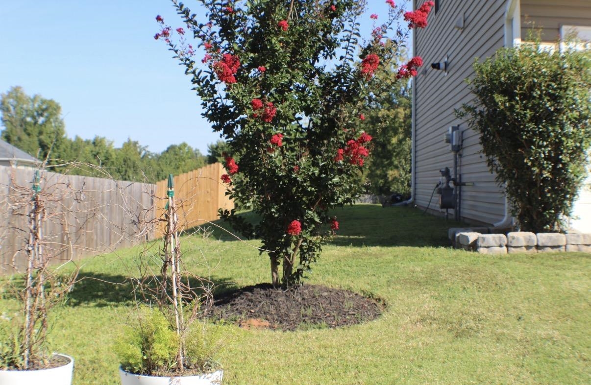 632 Grays Creek Property Photo 3