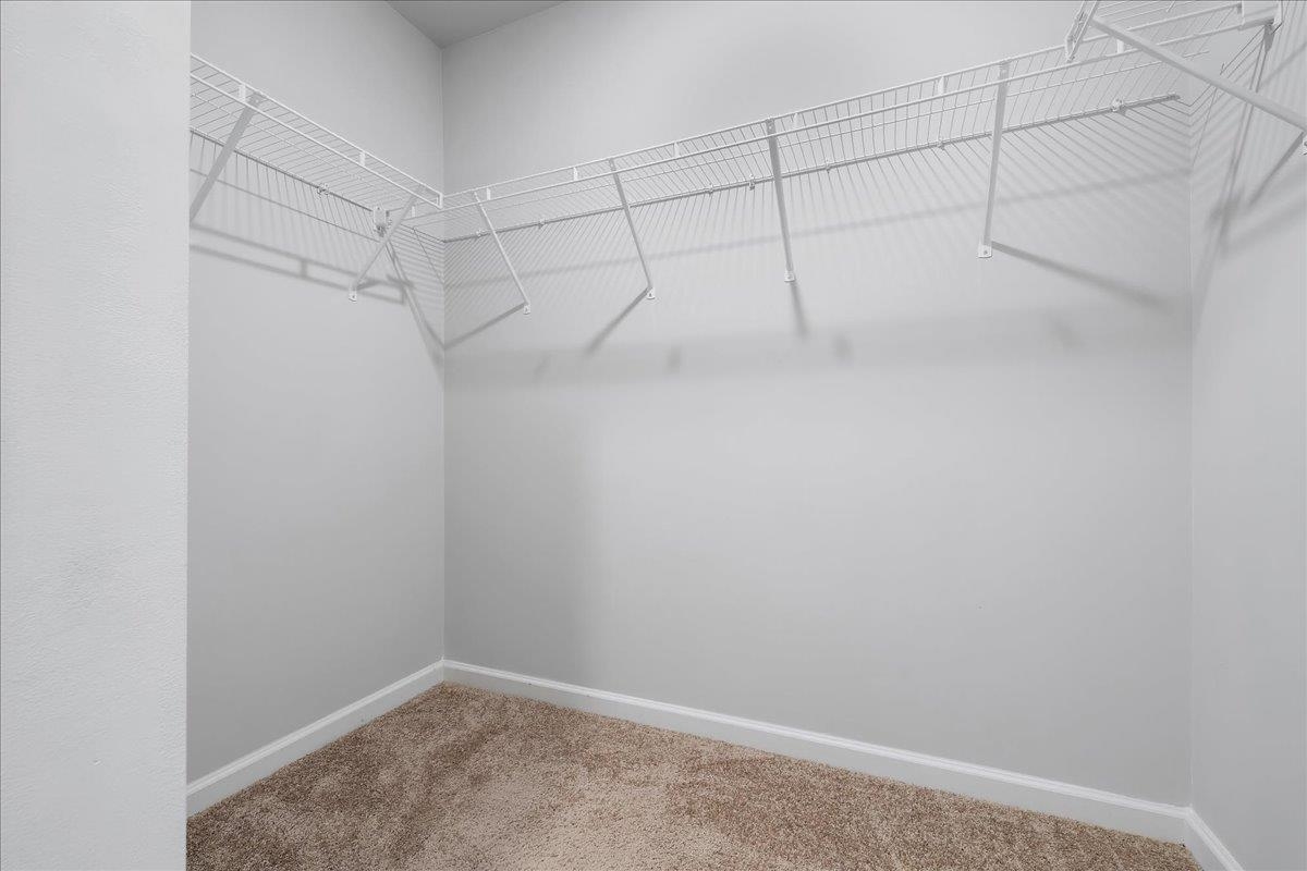 536 Grassy Pond Road Property Photo 19