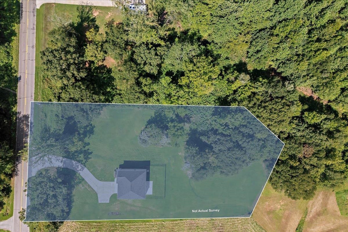 536 Grassy Pond Road Property Photo 42