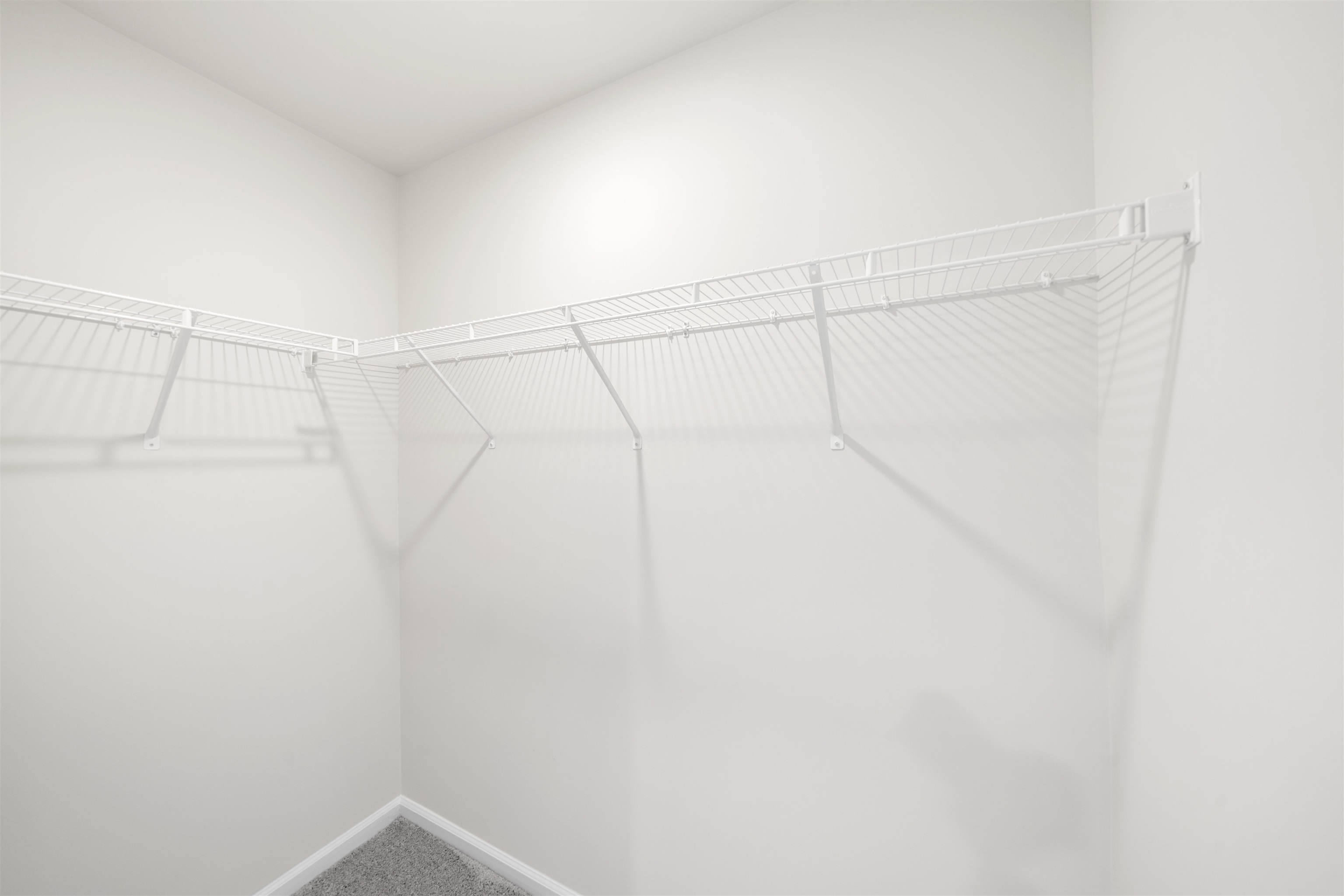 226 Ingleby Road Property Photo 17