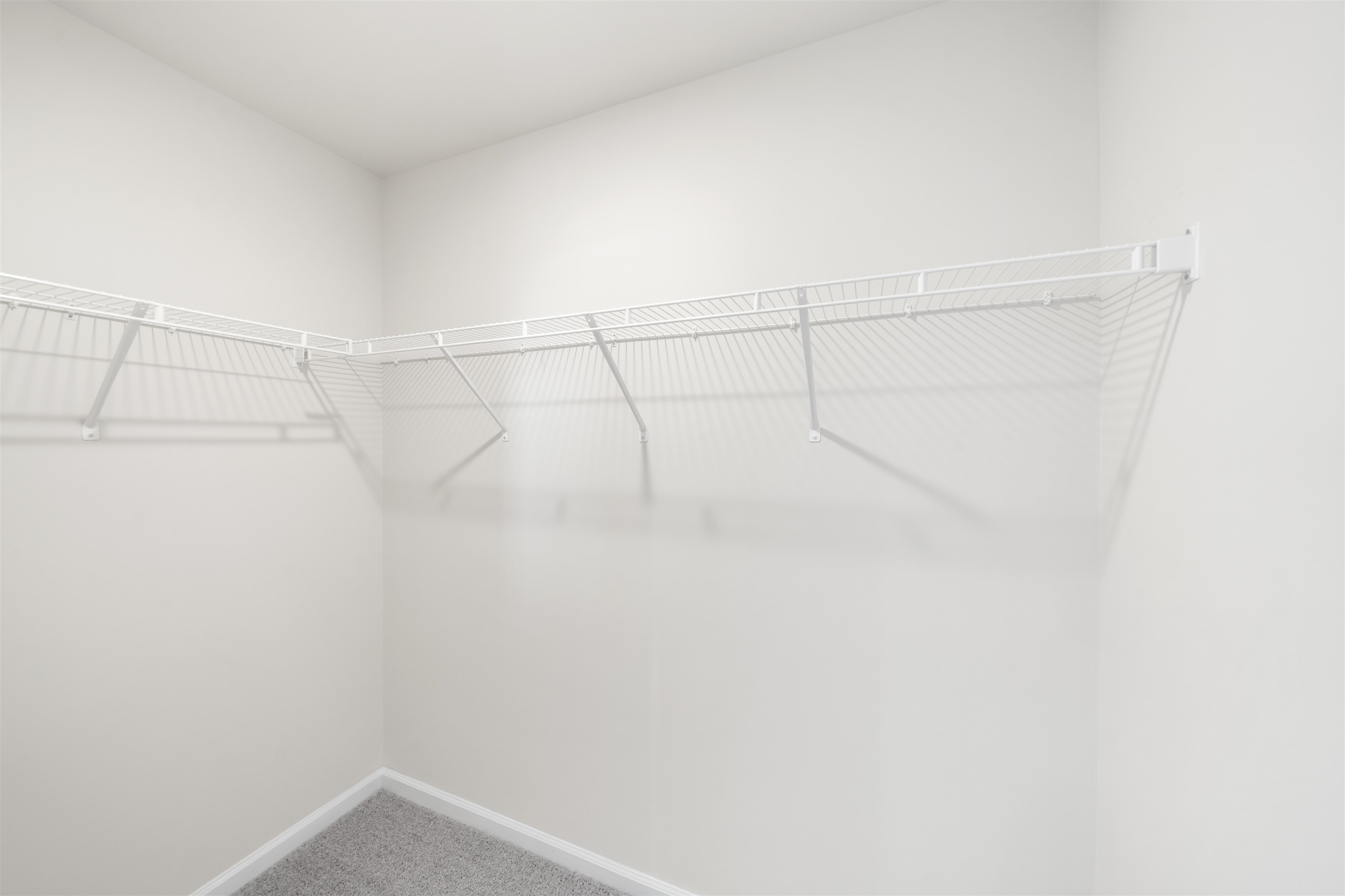 226 Ingleby Road Property Photo 18