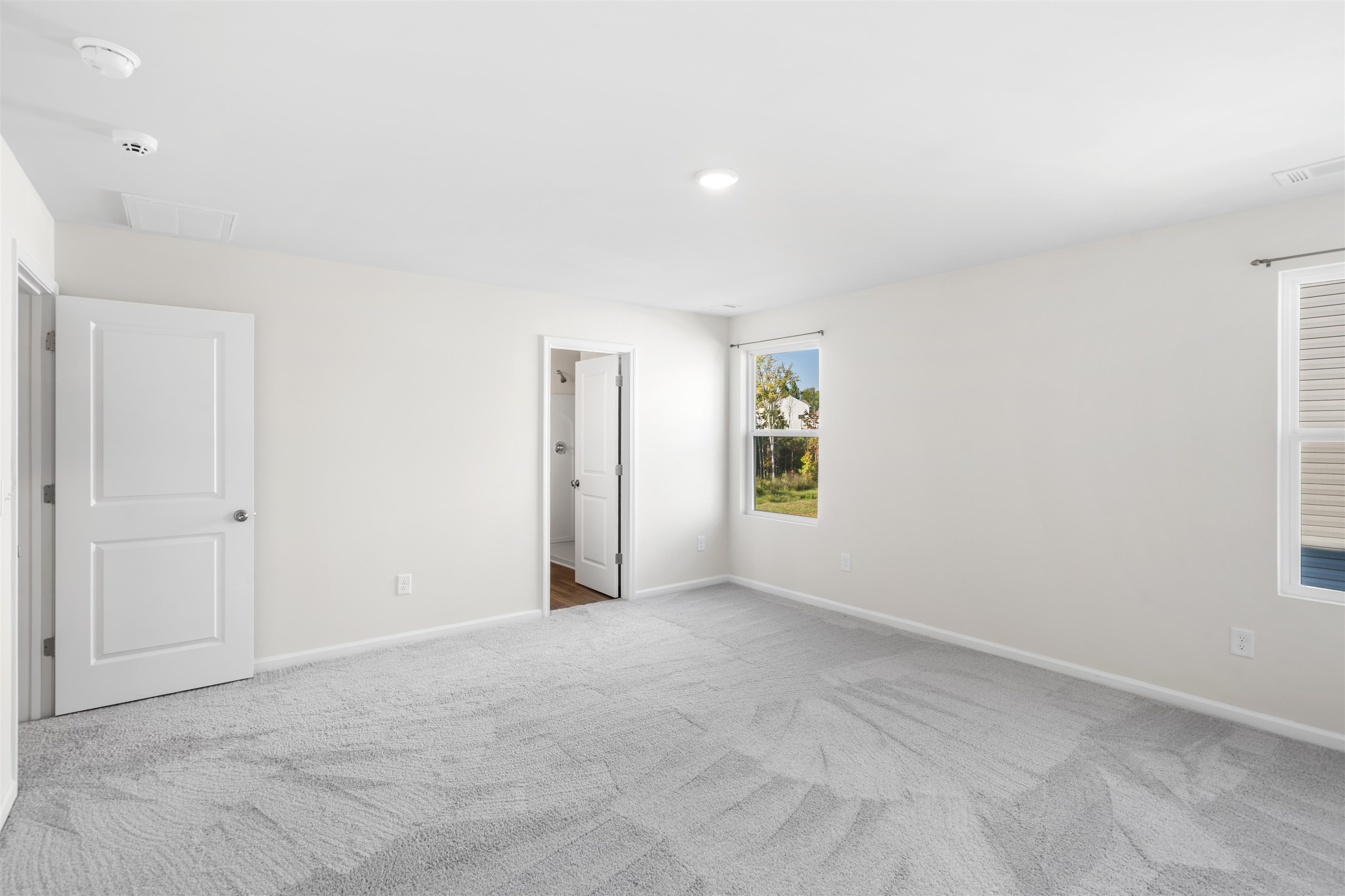 226 Ingleby Road Property Photo 29