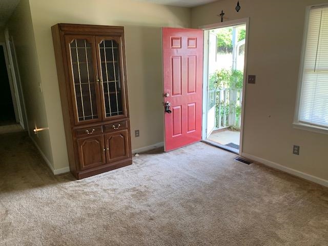 1428 Leadmine Street Property Photo 2