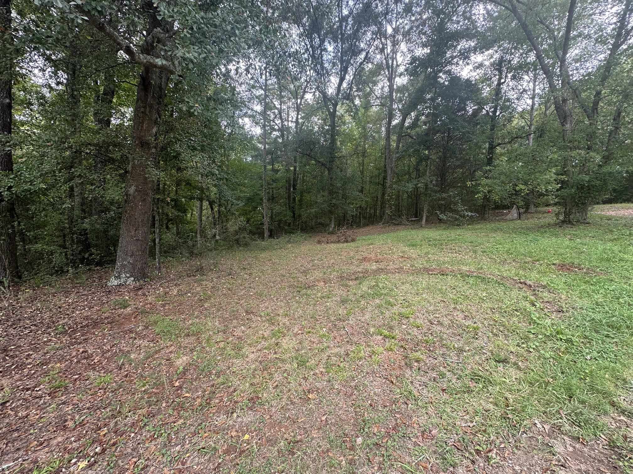 342155 Property Photo 5