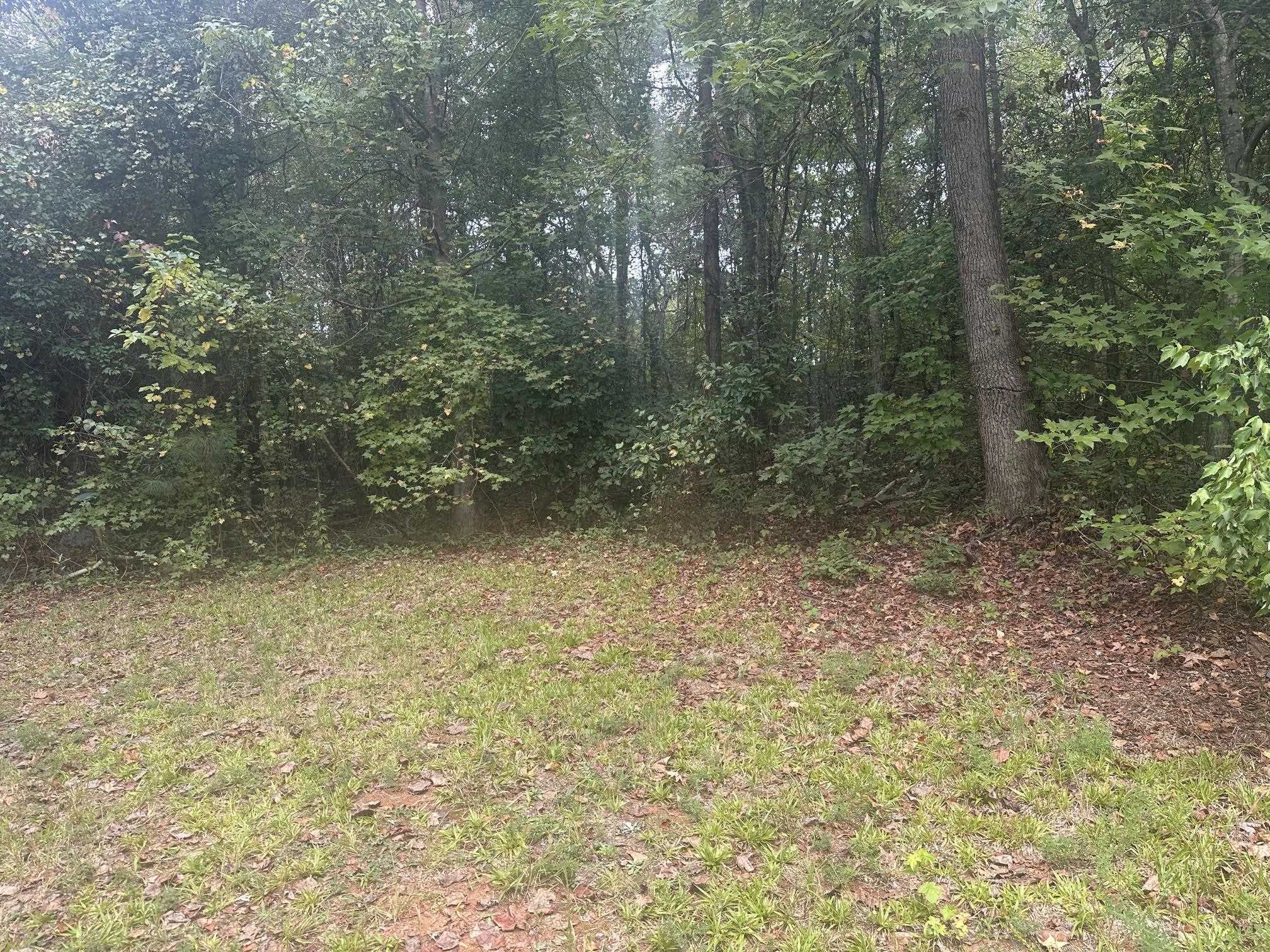 342155 Property Photo 6