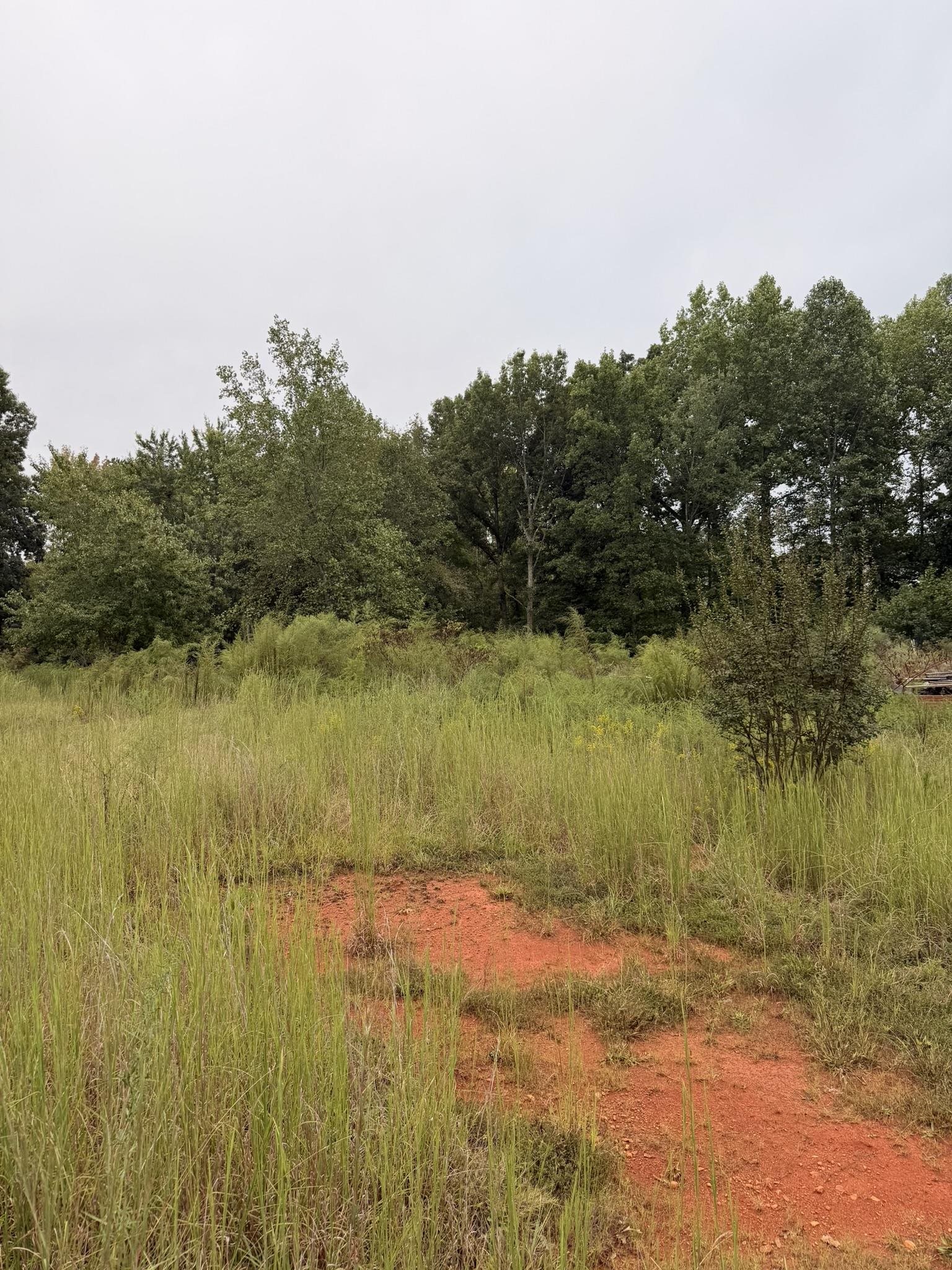342168 Property Photo 2