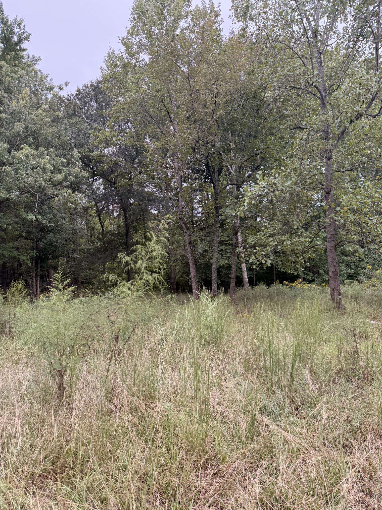 342168 Property Photo 4