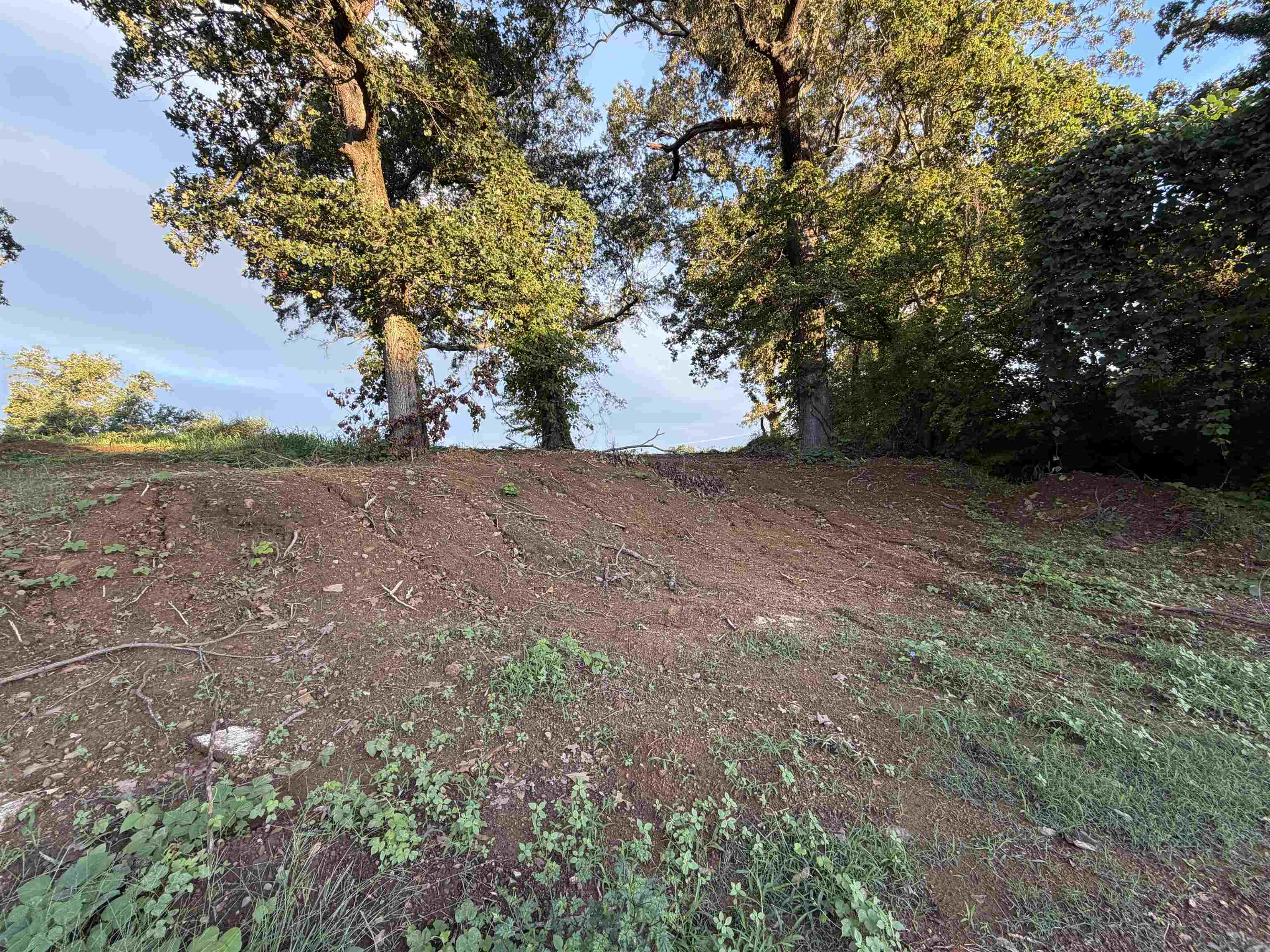 342184 Property Photo 2
